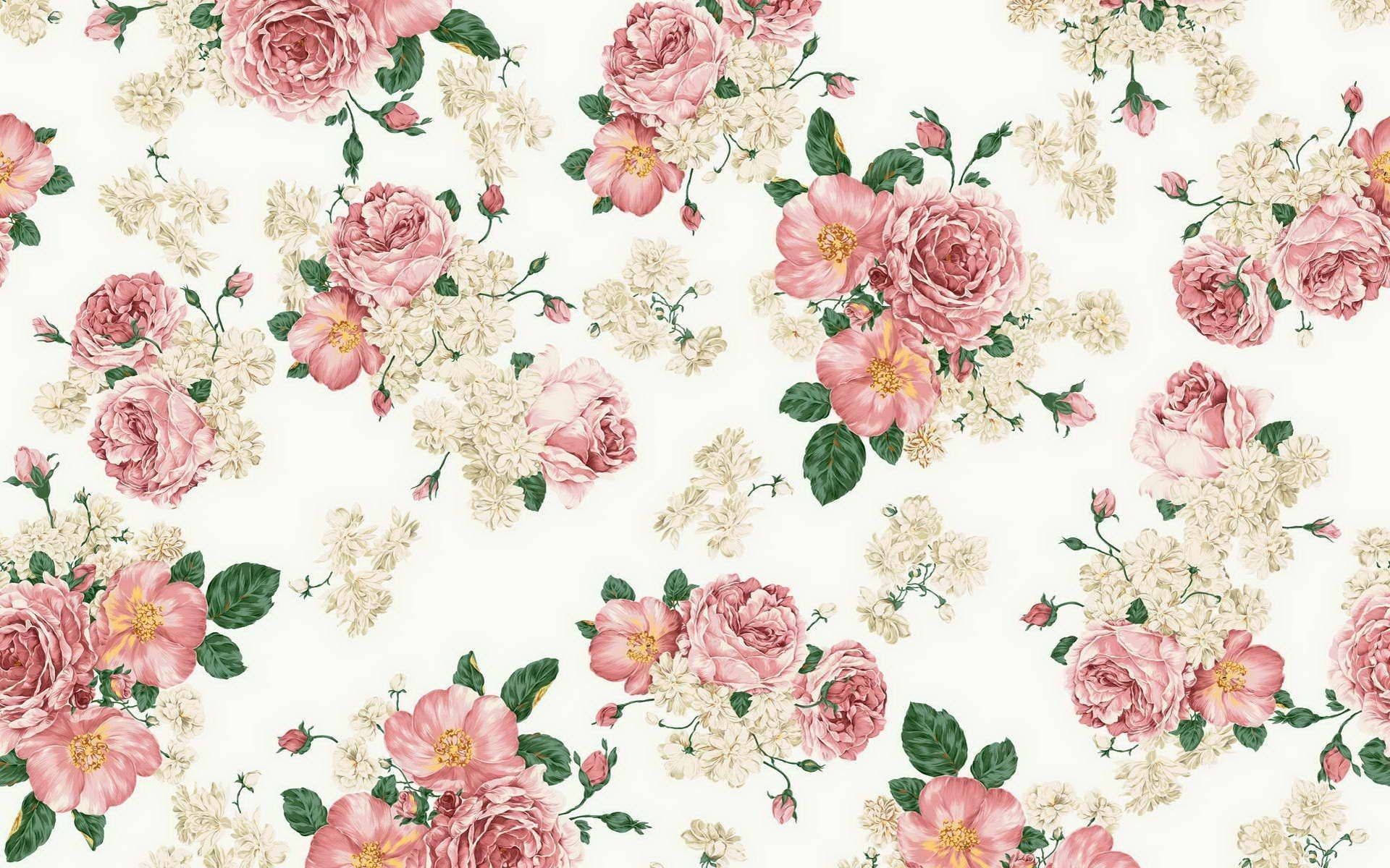 pink roses, creamy white blossoms, green leaves, Full HD Desktop Wallpaper