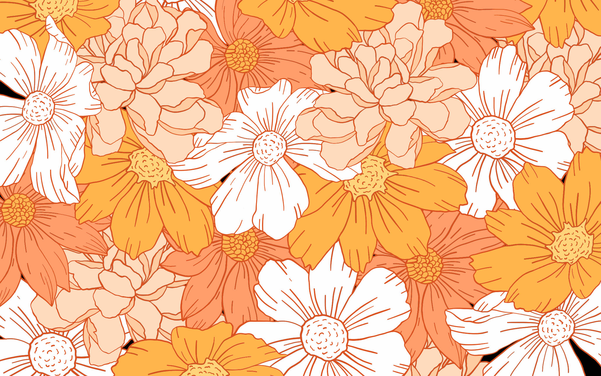 flowers, orange, white, Full HD Desktop Wallpaper