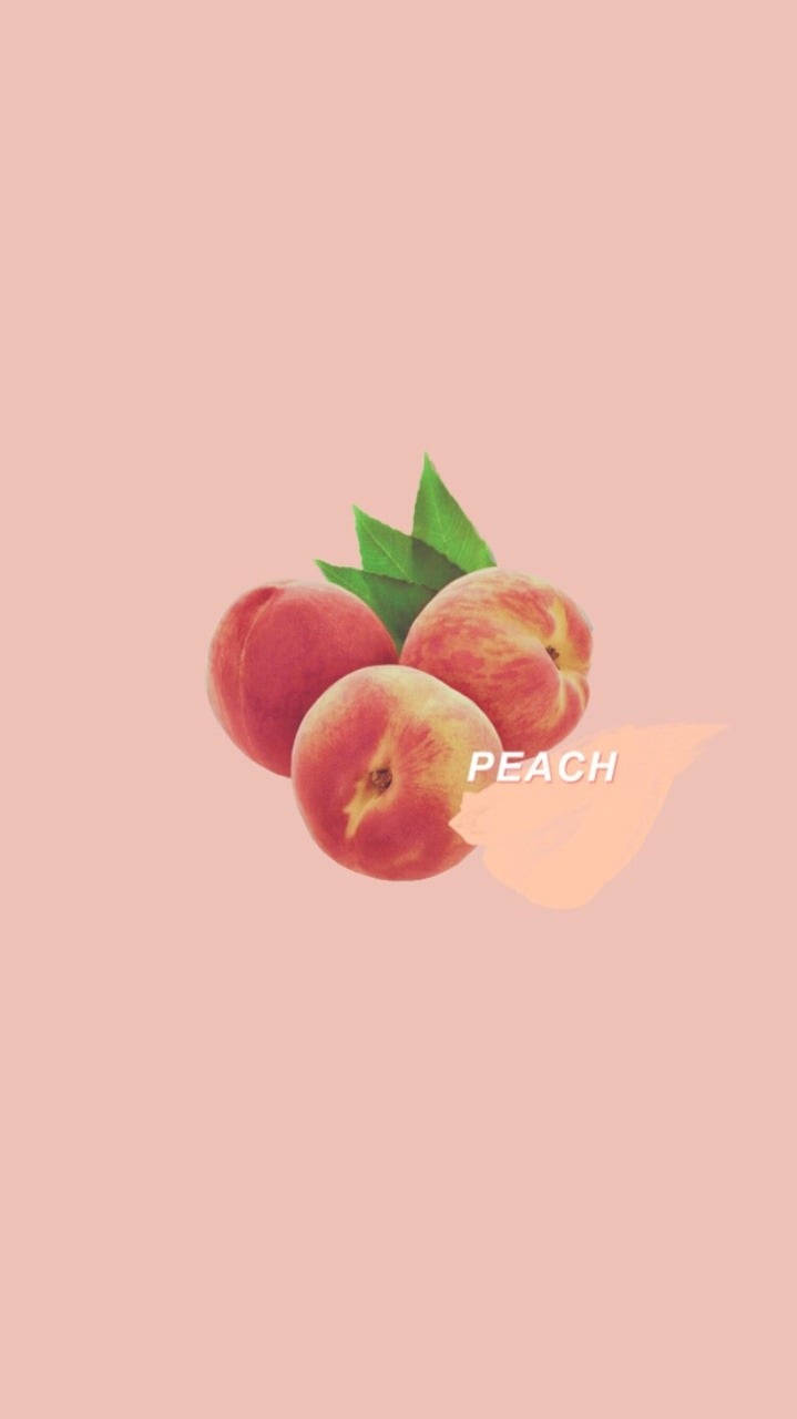 Aesthetic Peach Pink, three peaches, green leaves, HD Phone Wallpaper