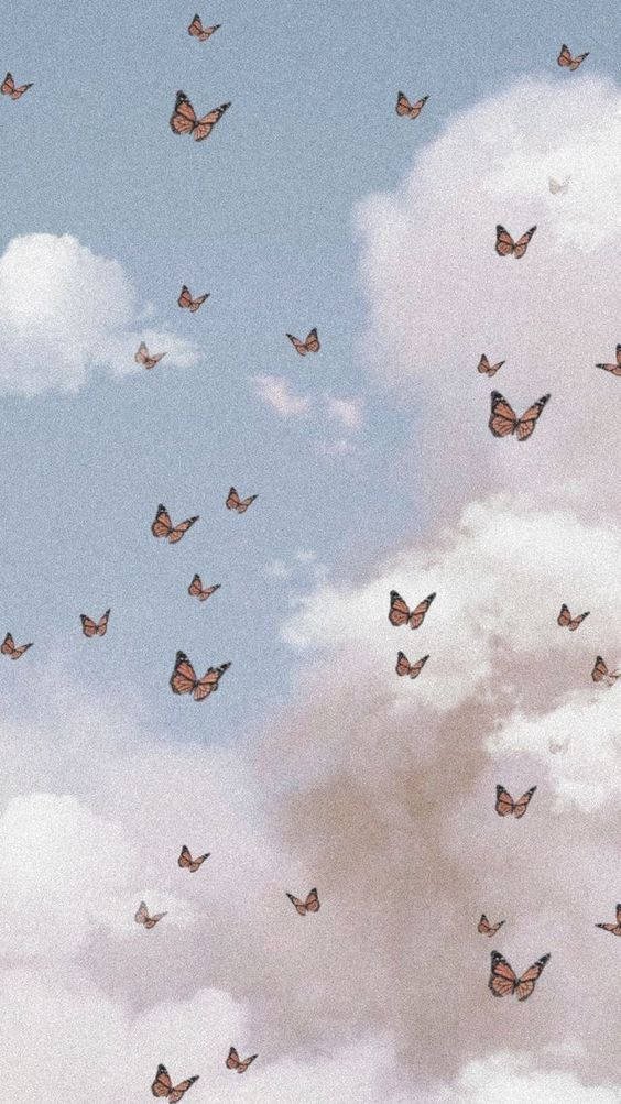 Aesthetic Phone, butterflies, orange and black, SD Phone Wallpaper
