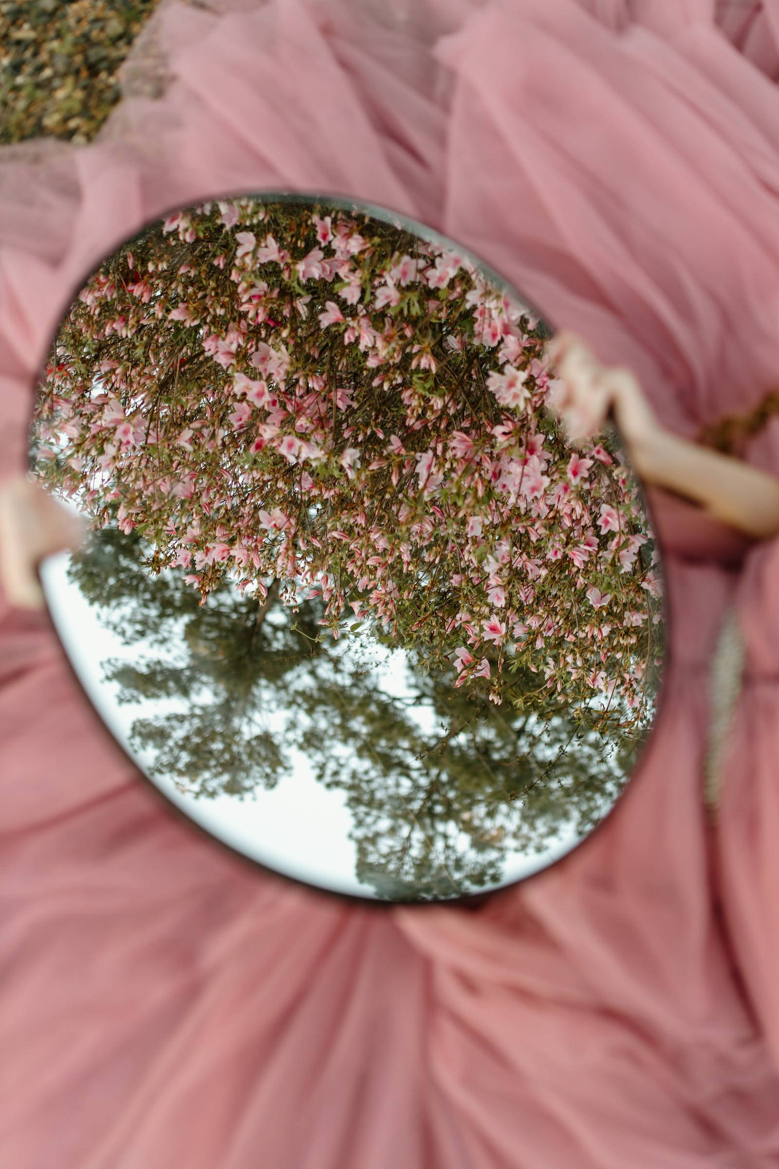 round mirror, pink blossoms, green trees, Full HD Phone Wallpaper