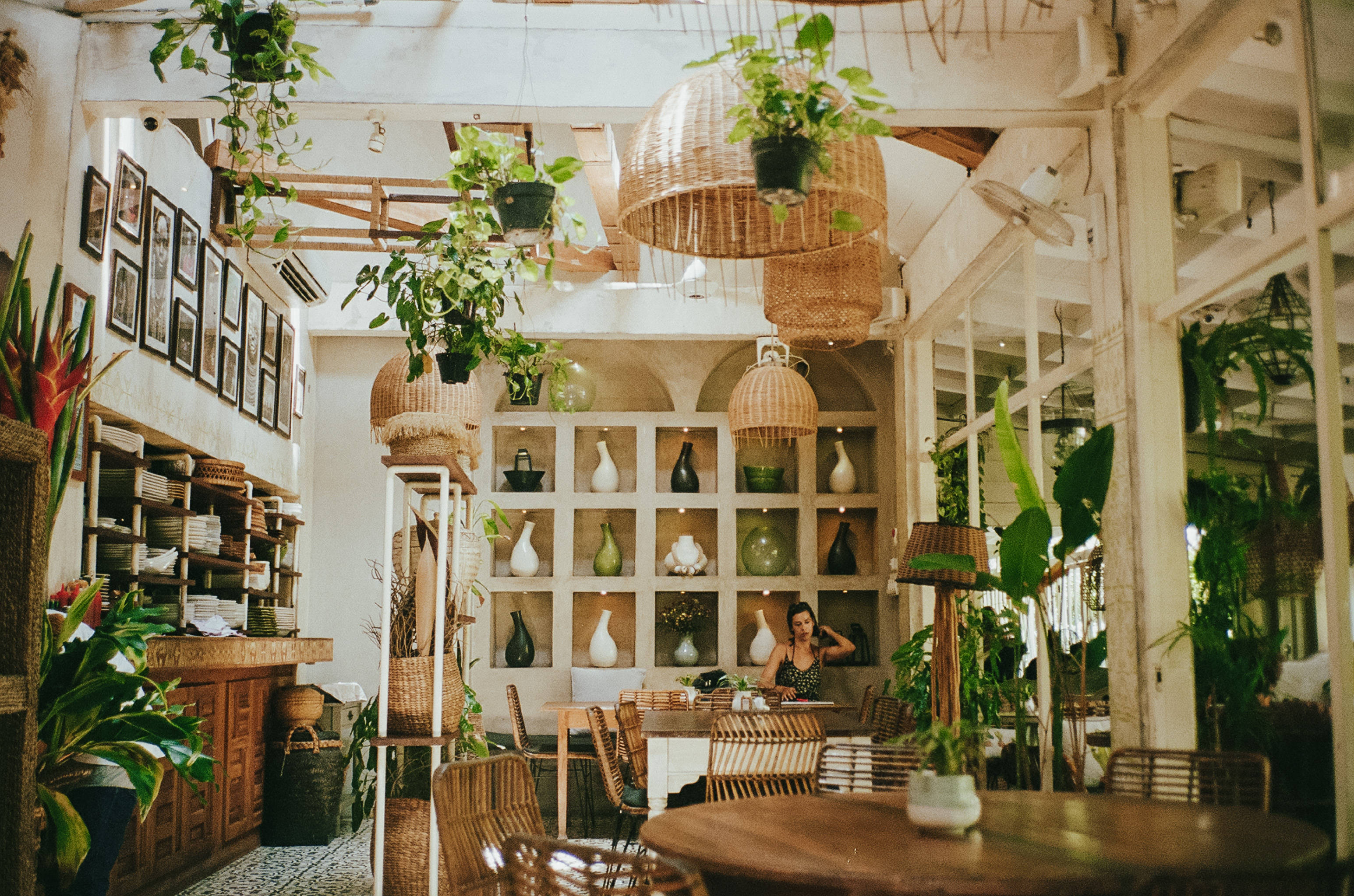 bohemian cafe, hanging plants, wicker lights, 2K Desktop Wallpaper