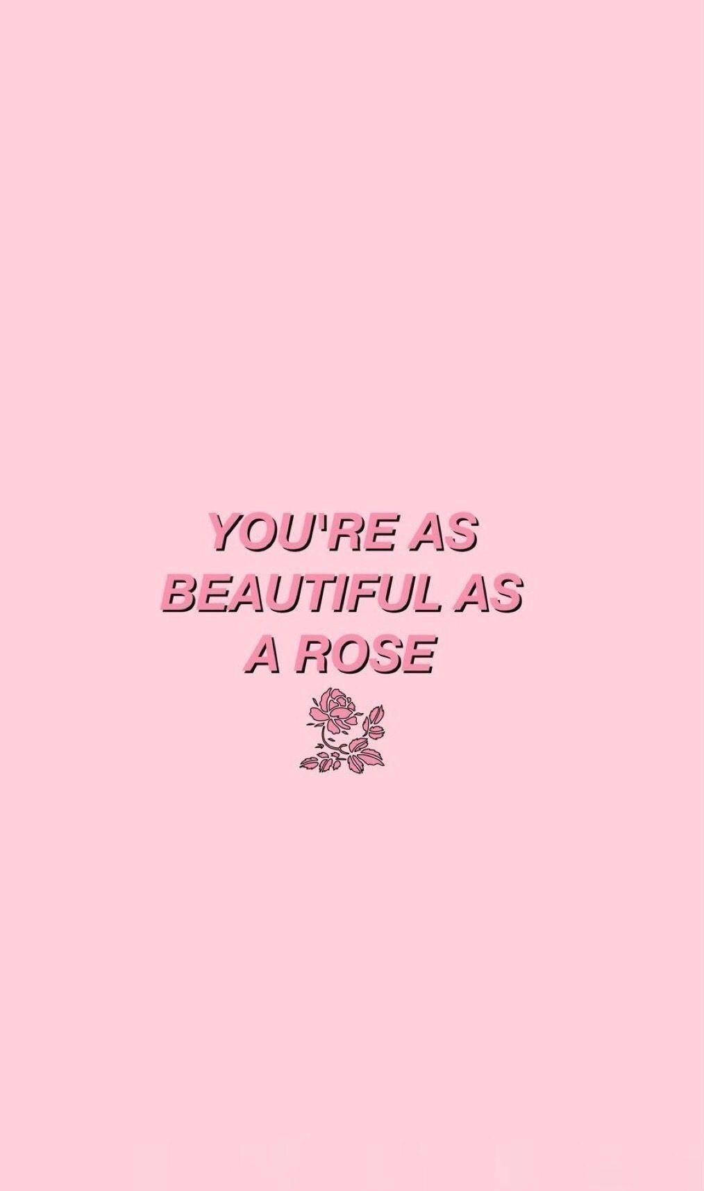 Aesthetic Pink iPhone, soft pink background, text reading you're as beautiful as a rose, HD Phone Wallpaper
