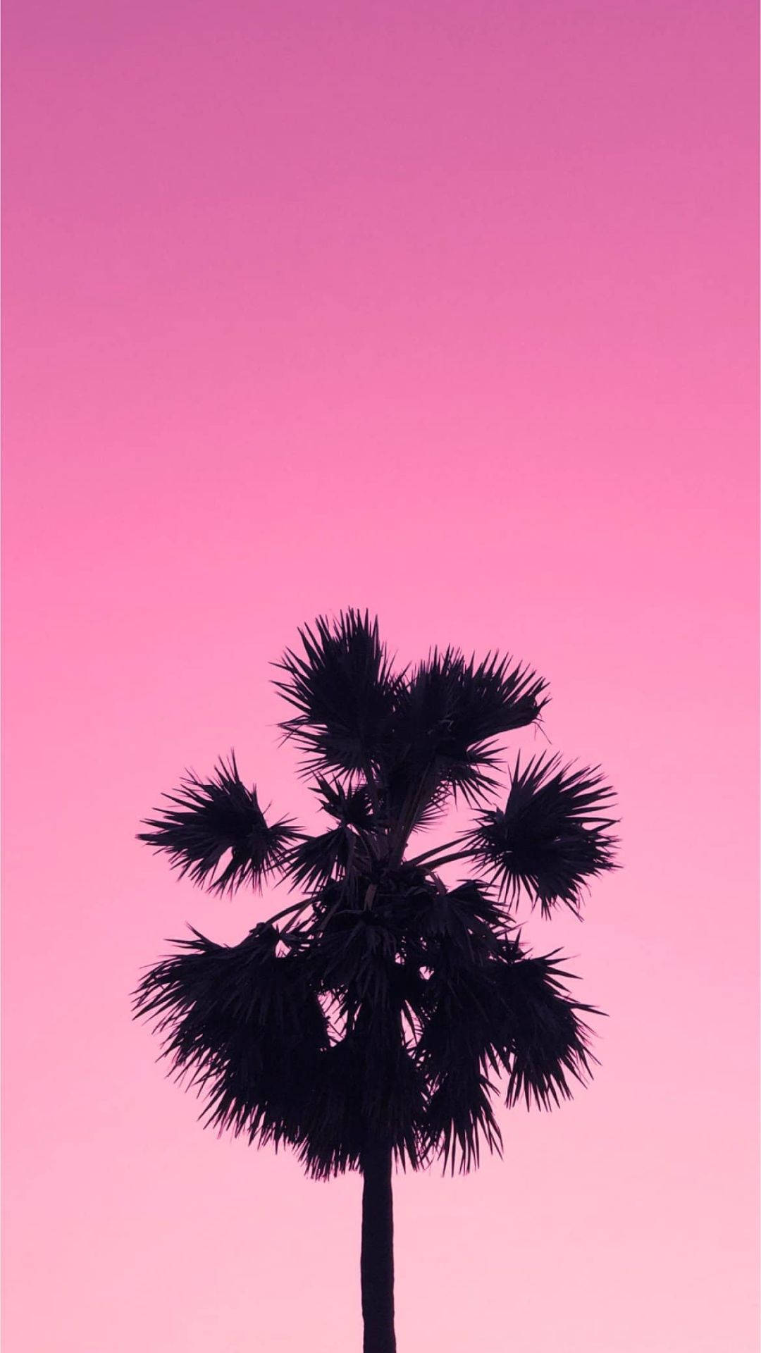 palm tree, aesthetic pink sky, sunset, Full HD Phone Wallpaper