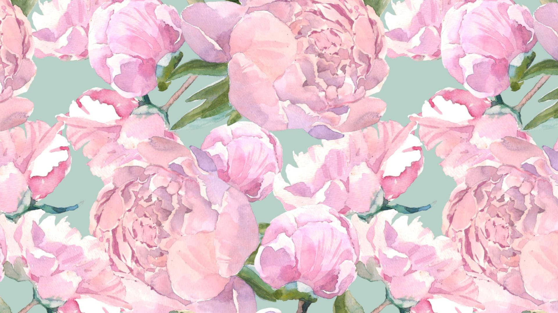 soft pink peonies, layered petals, muted mint green background, Full HD Desktop Wallpaper