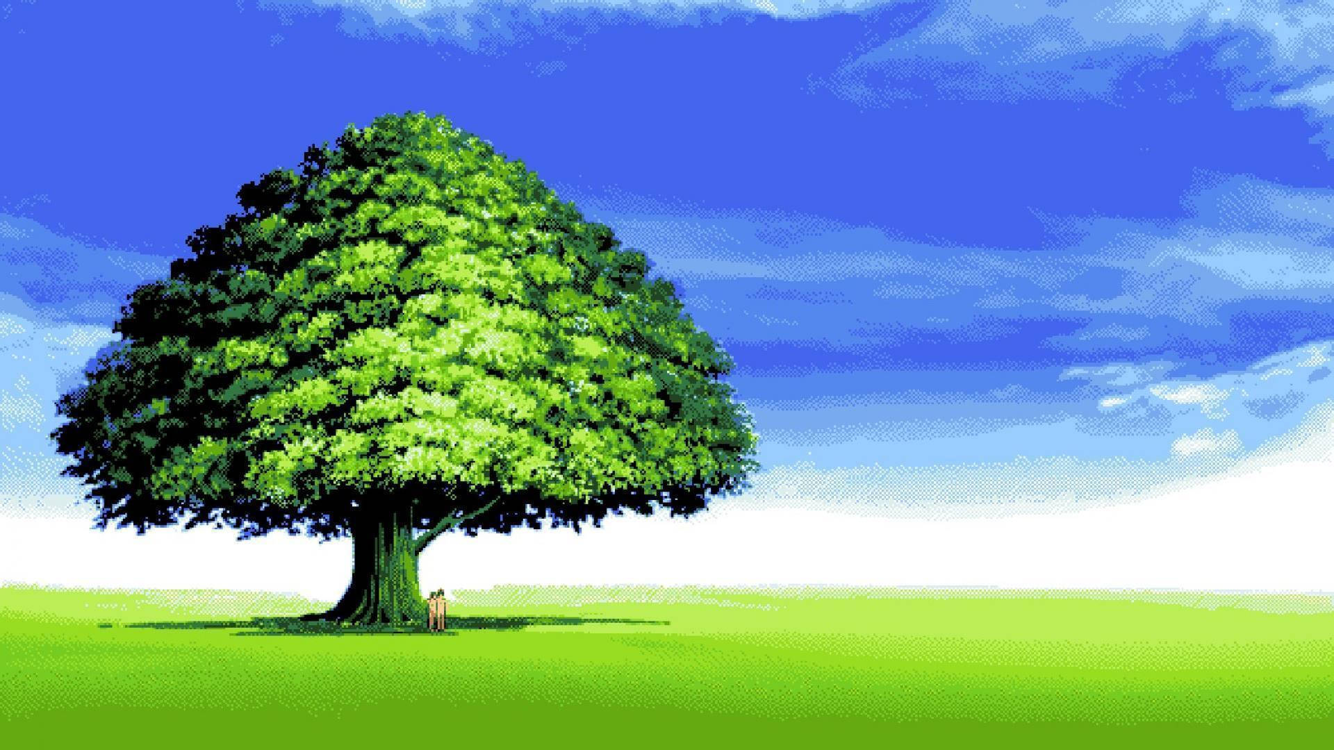majestic green tree, vast grassy field, bright blue sky, Full HD Desktop Wallpaper