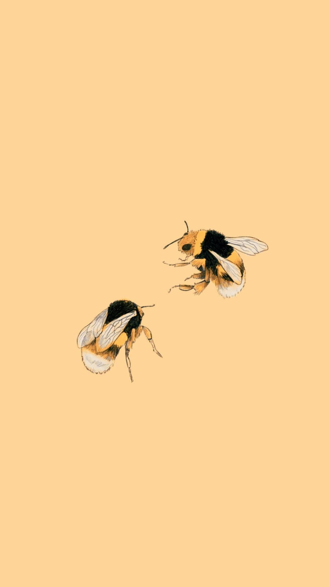 Aesthetic Profile Bees, bumblebees, warm peach, Full HD Phone Wallpaper