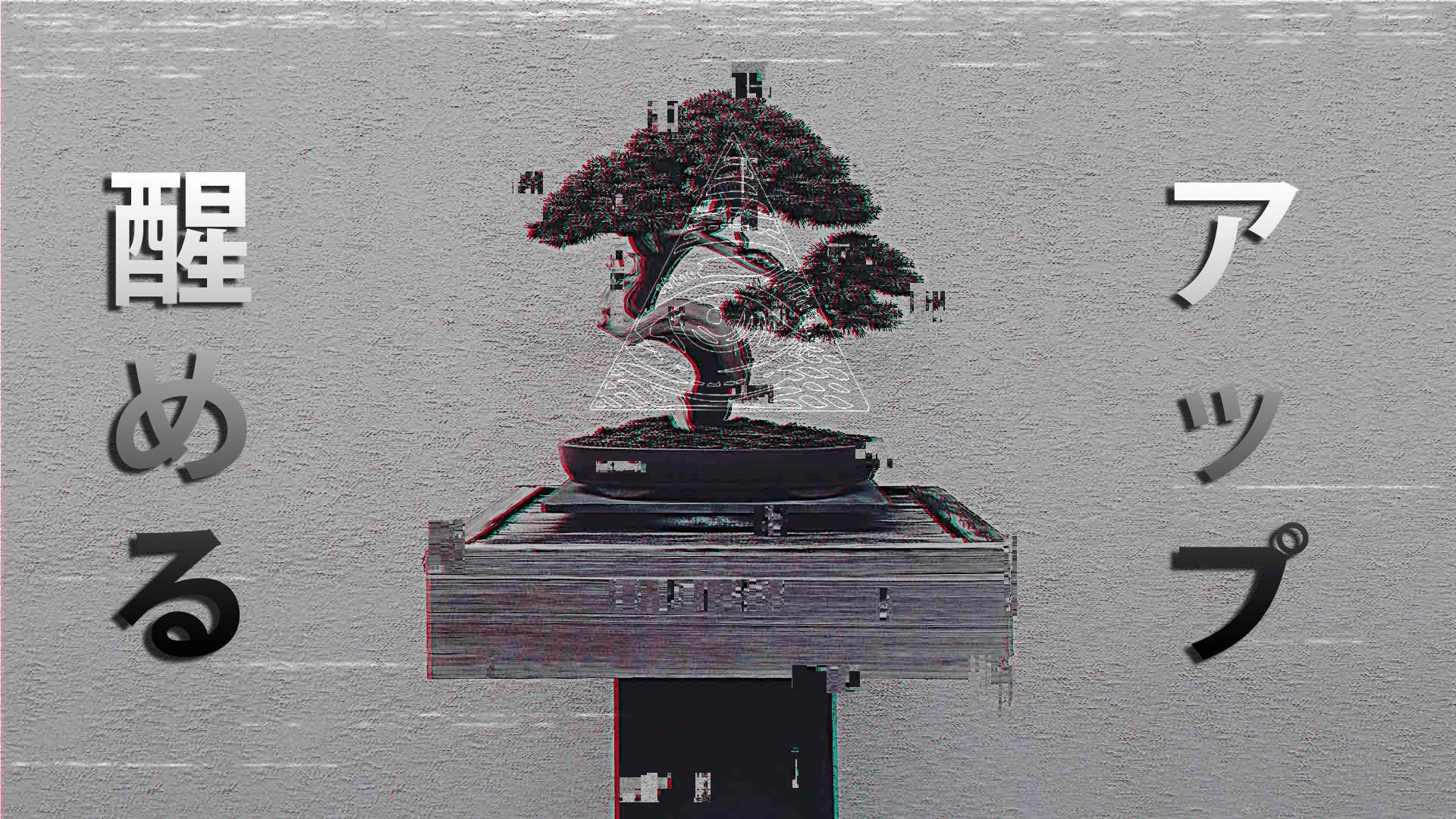 Aesthetic Profile, bonsai tree, Japanese text, Full HD Desktop Wallpaper