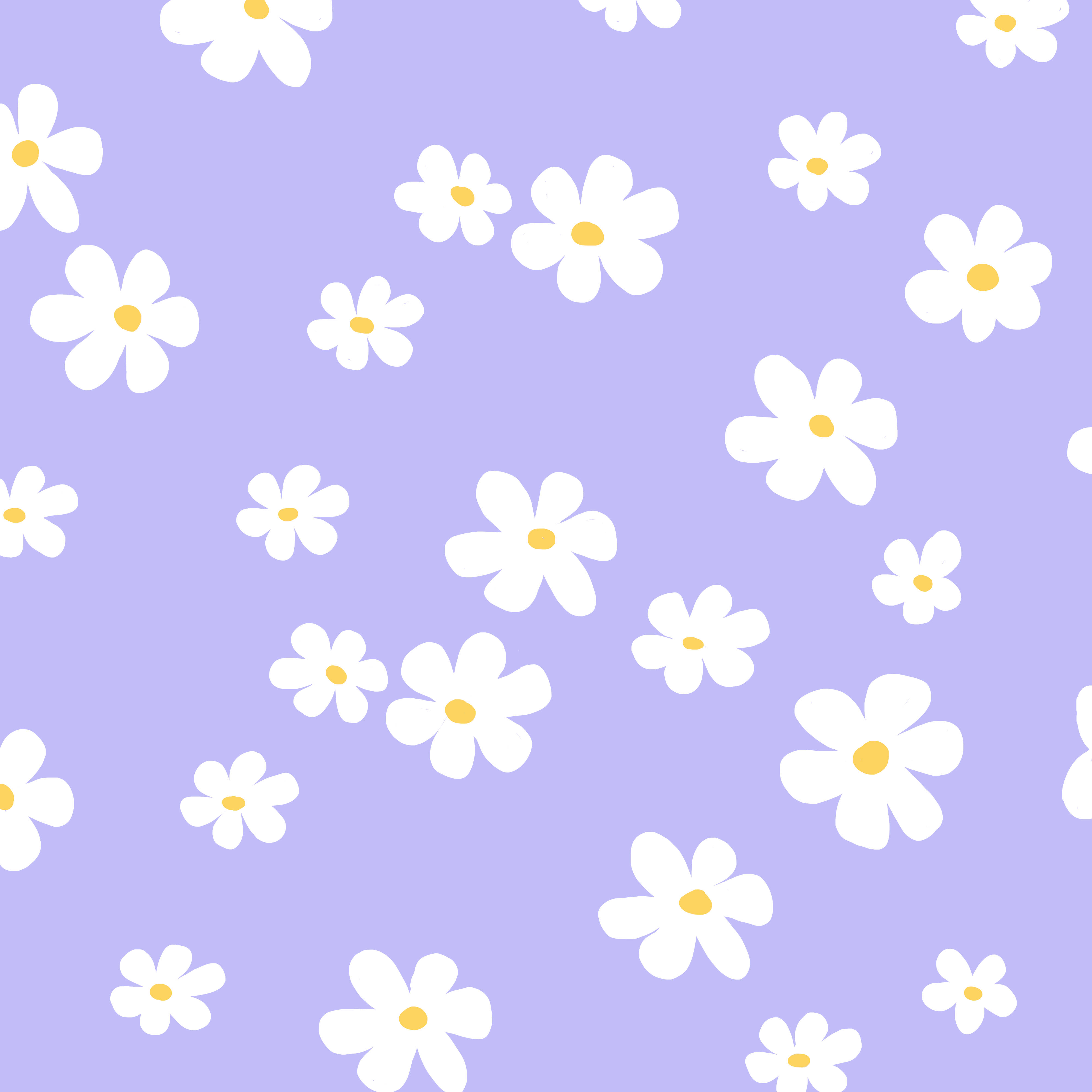aesthetic purple flower, white daisies, yellow centers, 4K Desktop Wallpaper