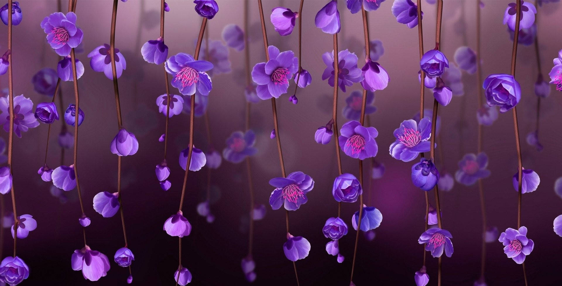purple flower, magenta, violet, Full HD Desktop Wallpaper