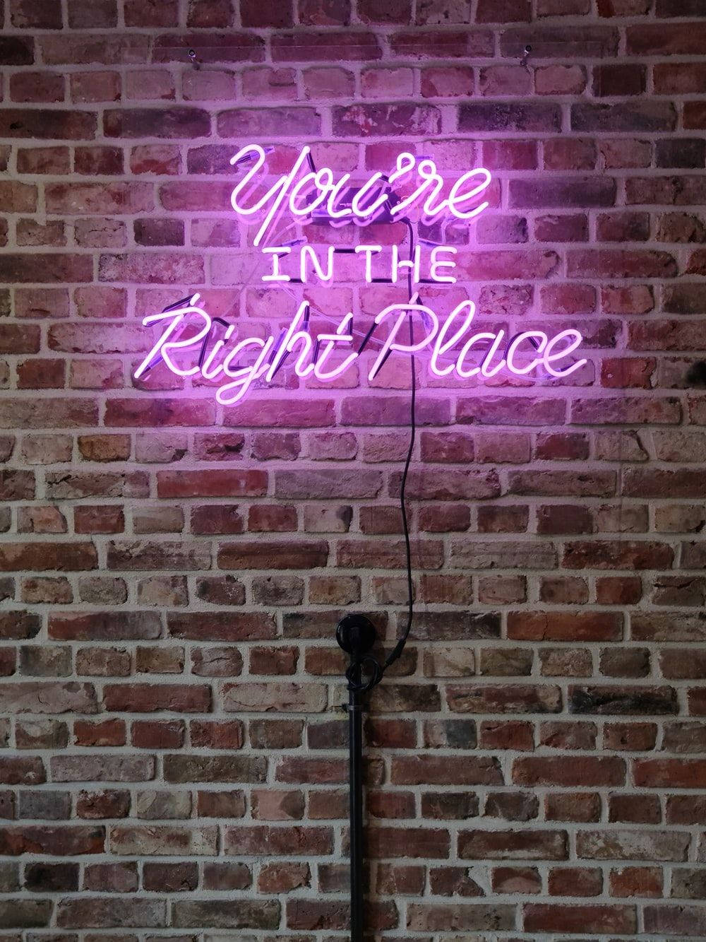 You're IN THE Right Place, glowing purple neon sign, rustic brick wall, HD Phone Wallpaper