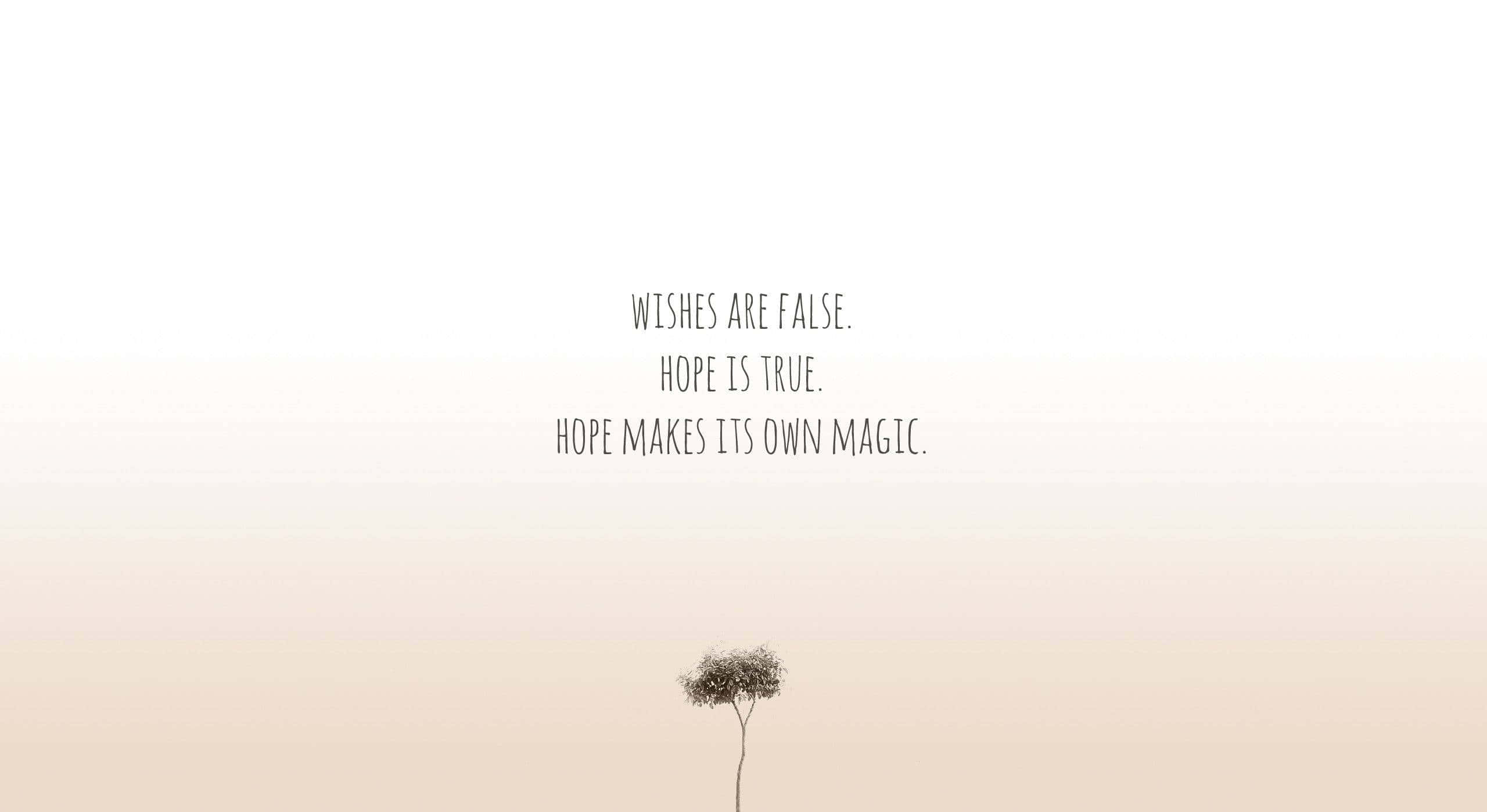 dandelion, soft gradient sky, minimalist text, 2K Desktop Wallpaper