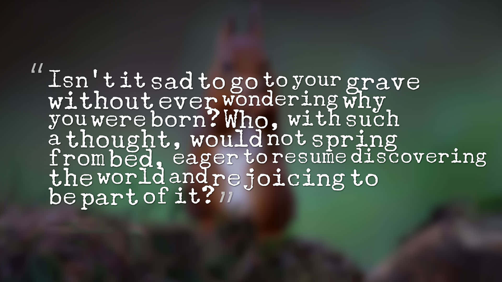 eager quote desktop, squirrel, white text, Full HD Desktop Wallpaper
