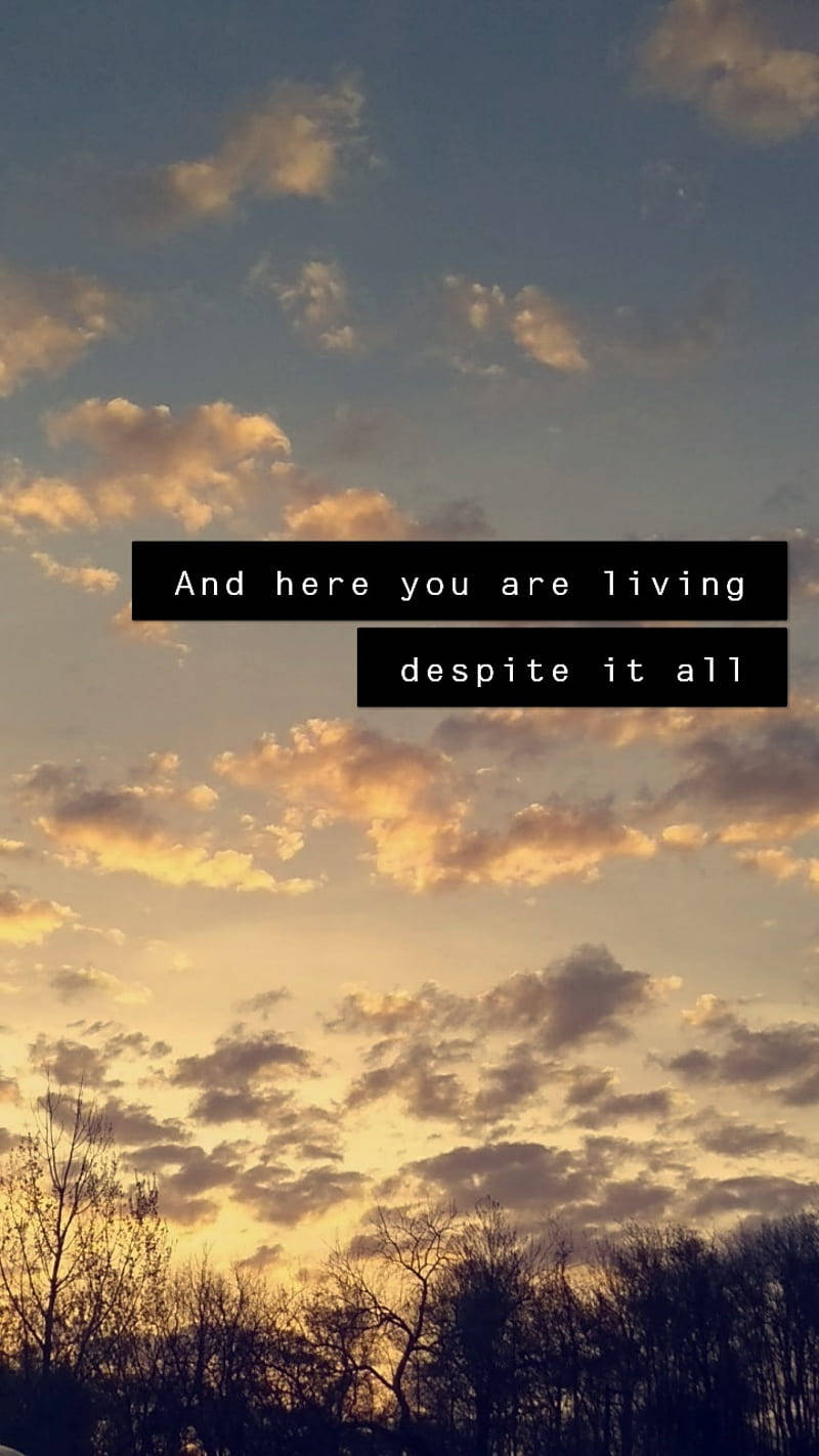 Sunset Aesthetic Tumblr Quotes, golden clouds, bare tree silhouettes, HD Phone Wallpaper