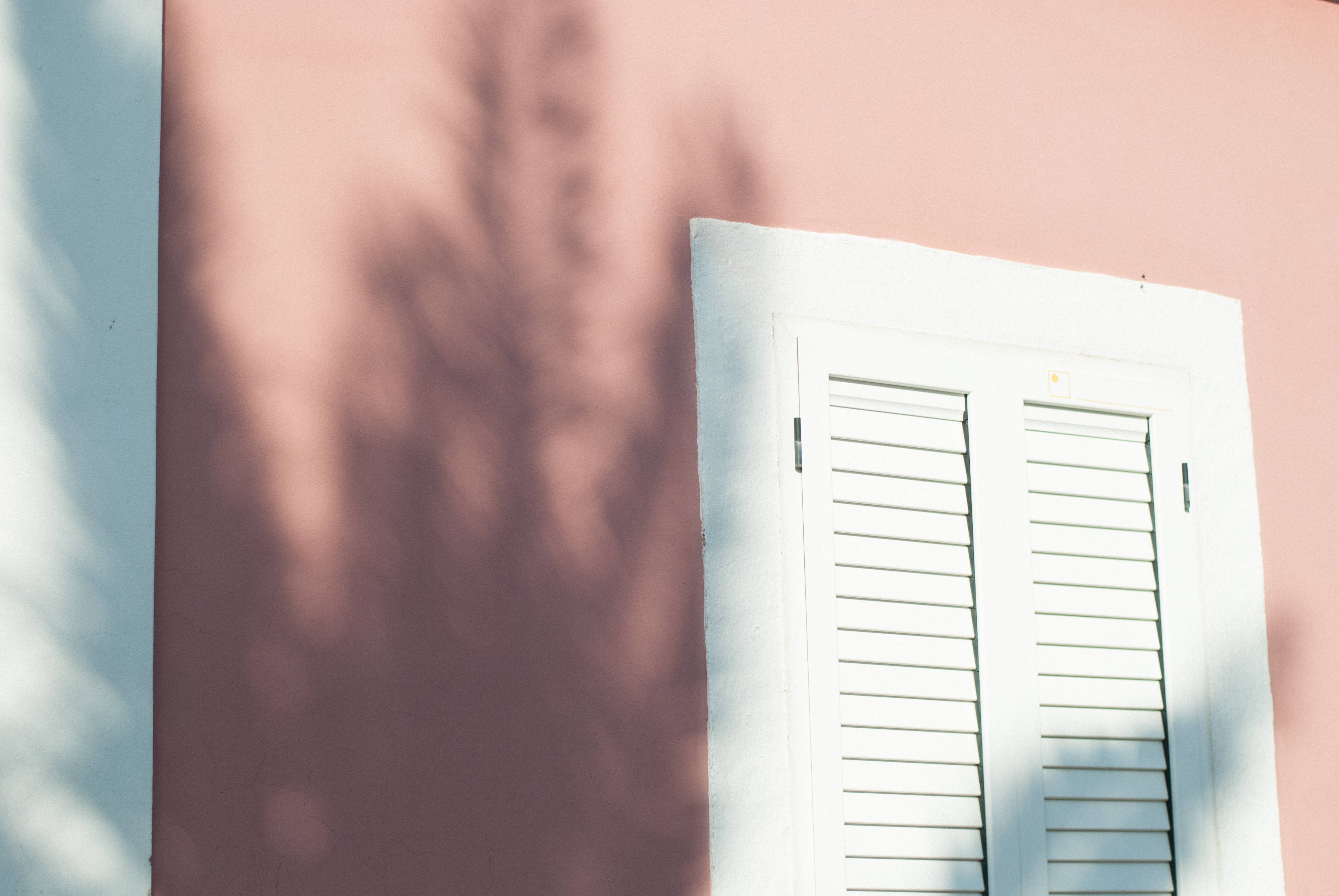 white shuttered window, soft pink wall, dappled tree shadows, 4K Desktop Wallpaper