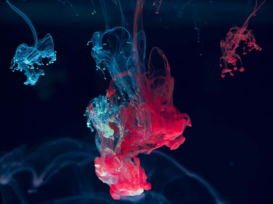 Red beauty, vibrant red, blue ink swirls, SD Desktop Wallpaper