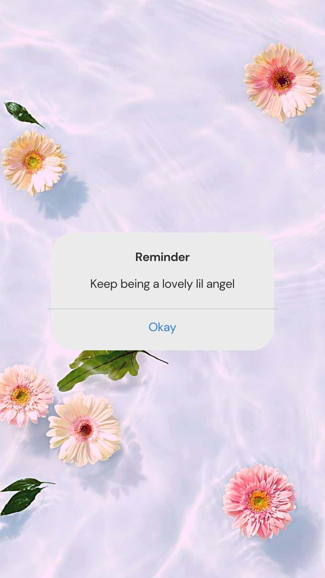 Aesthetic Reminder, pink gerbera daisies, light blue water, Full HD Phone Wallpaper