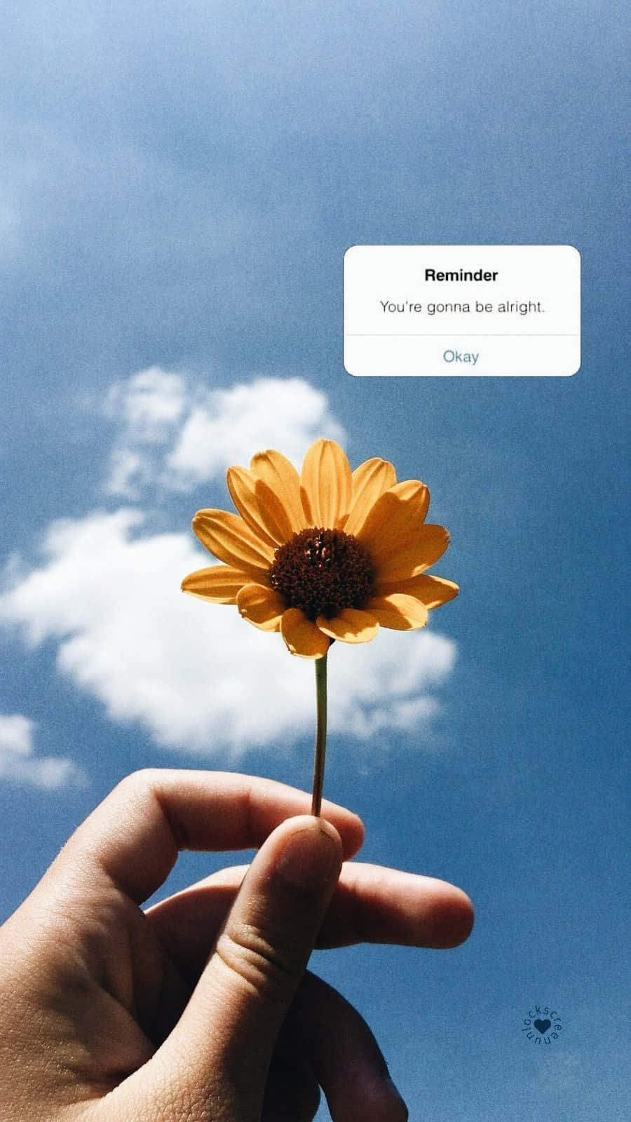 bright yellow flower, blue sky, white clouds, HD Phone Wallpaper
