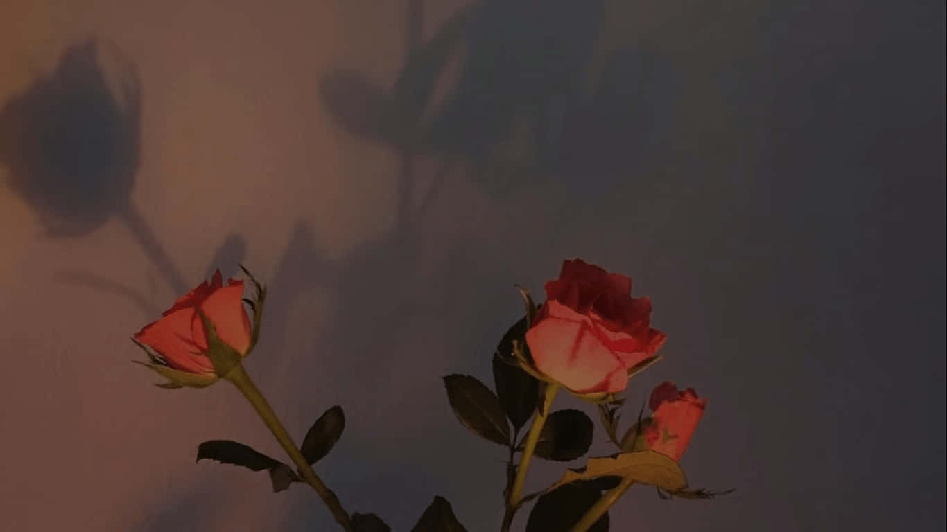 Aesthetic Retro Laptop, red roses, muted wall, HD Desktop Wallpaper