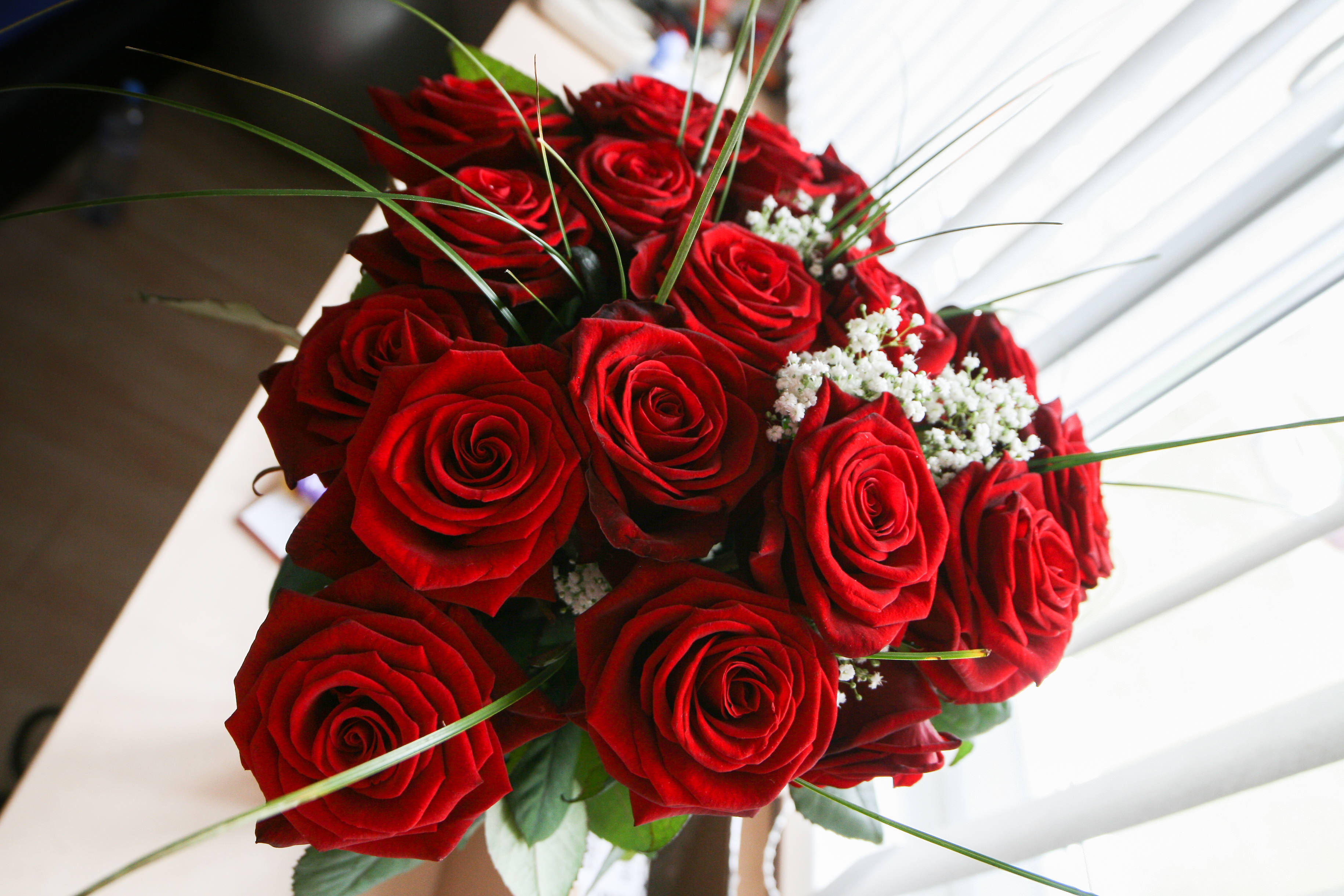 Aesthetic Rose Bouquet, deep red roses, white baby's breath, 2K Desktop Wallpaper