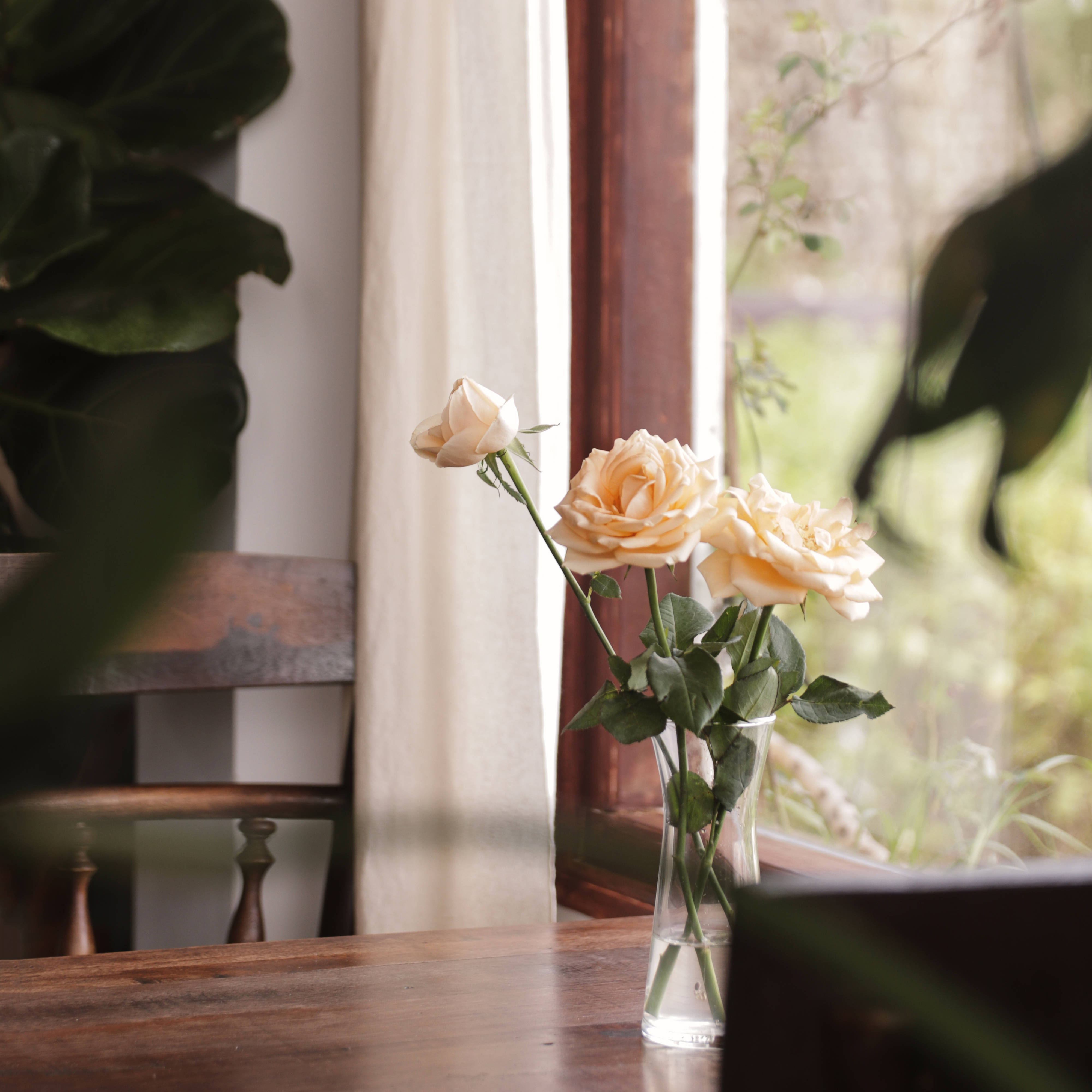 Aesthetic Rose Vase, soft peach roses, clear glass vase, 4K Desktop Wallpaper