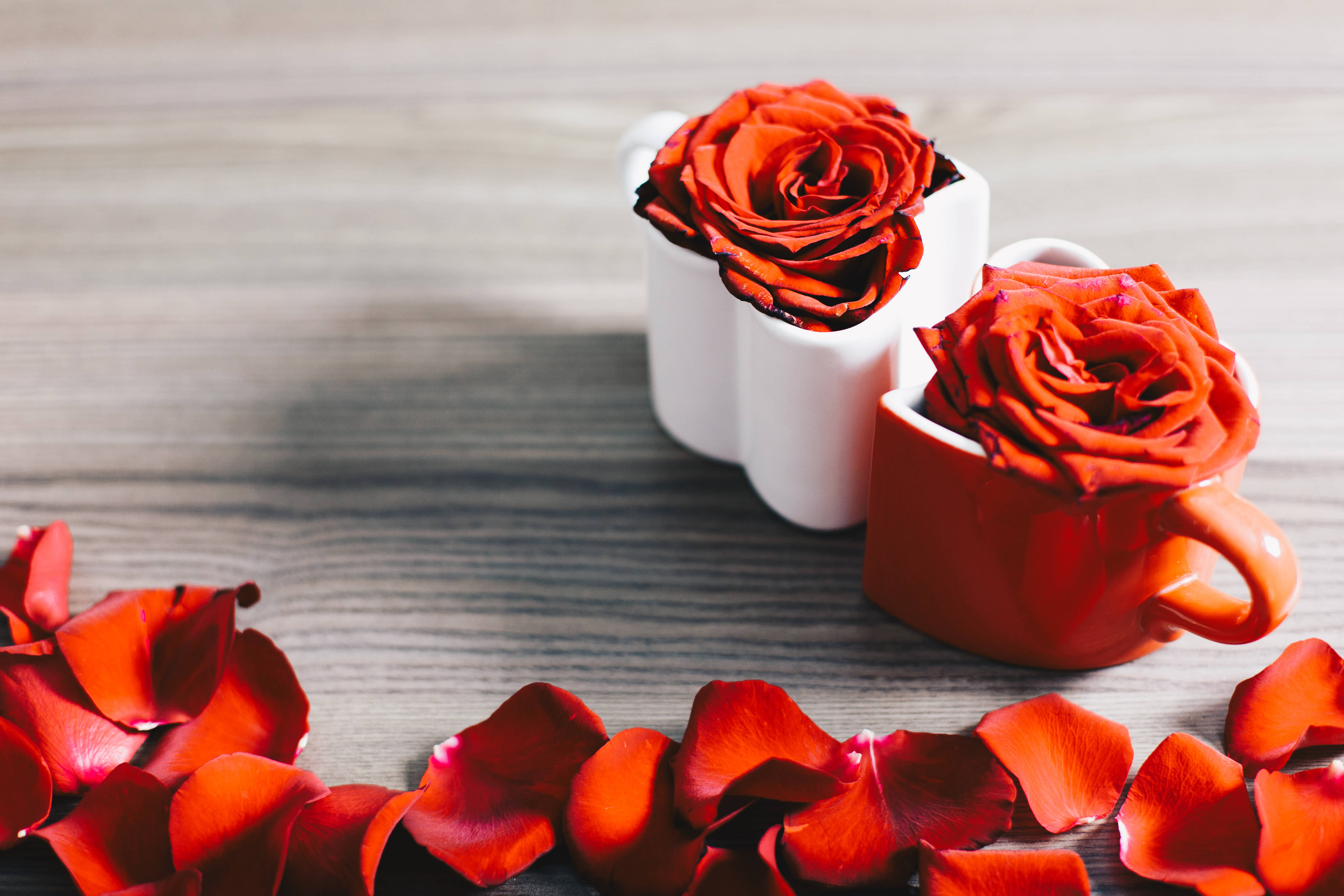 red and white aesthetic rose cups, red roses, white and red mugs, 4K Desktop Wallpaper