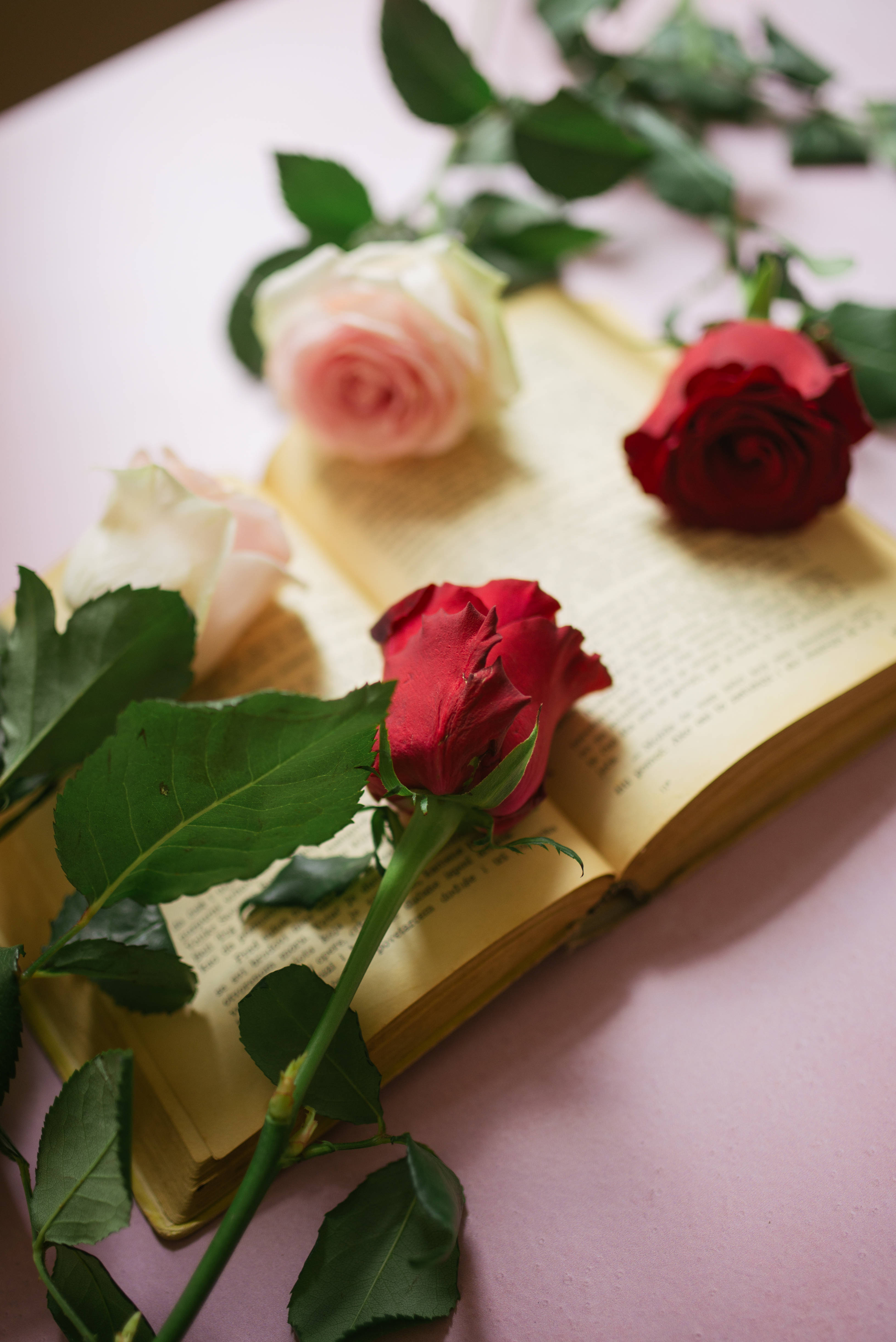 Aesthetic Rose, vintage book, pastel pink surface, 4K Phone Wallpaper