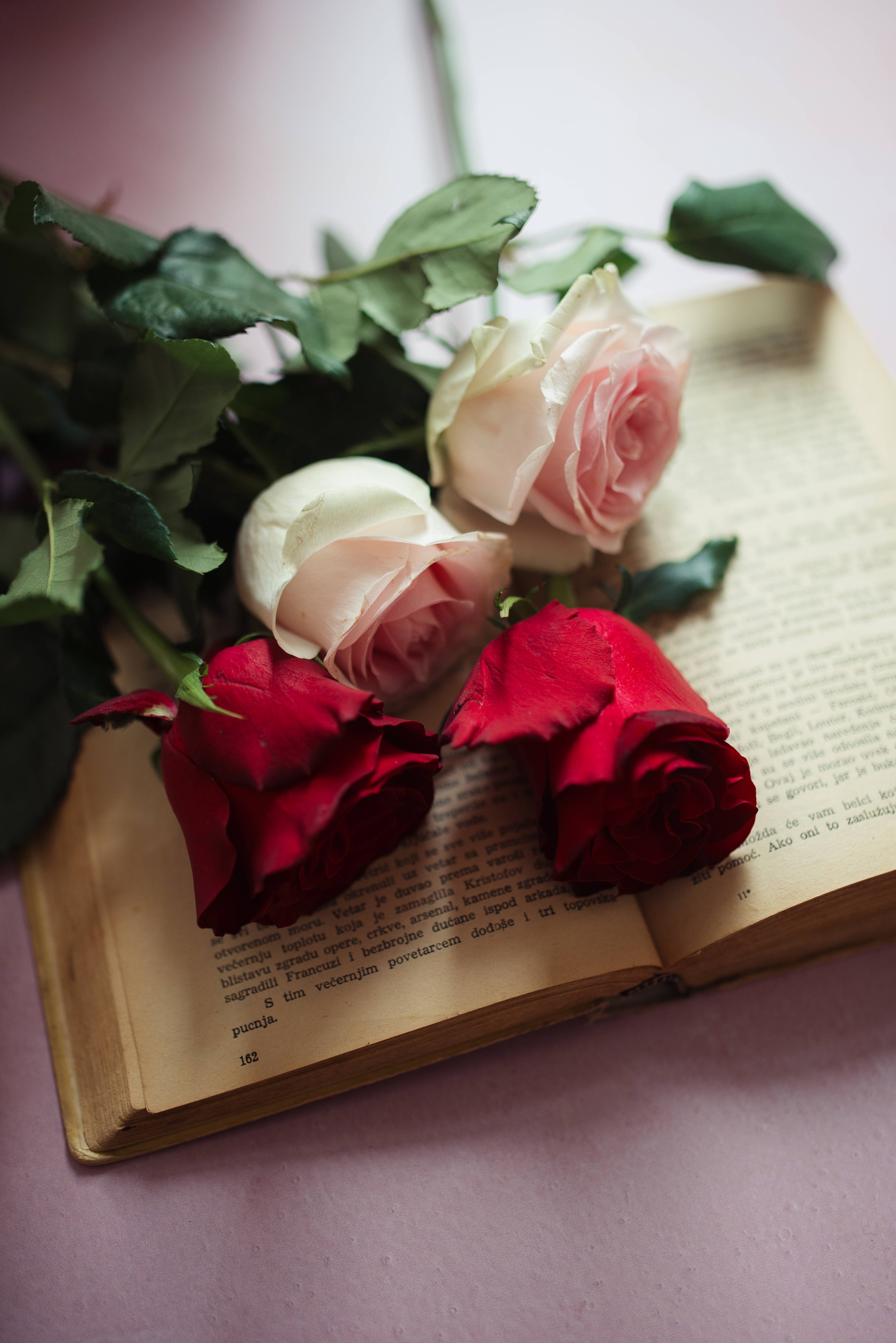 Aesthetic Rose, roses, vintage book, 5K Phone Wallpaper
