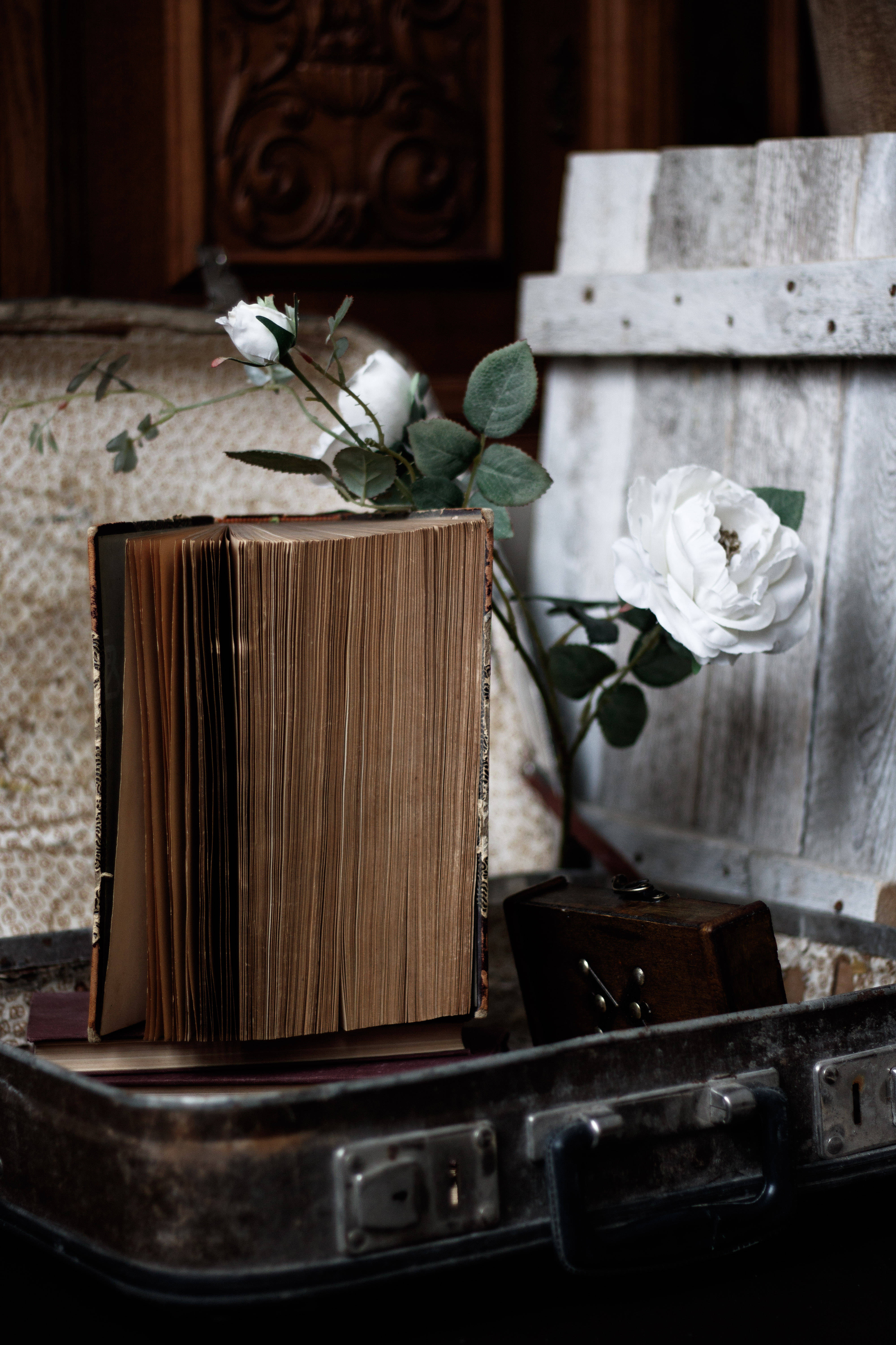 white rose, vintage book, weathered suitcase, 5K Phone Wallpaper