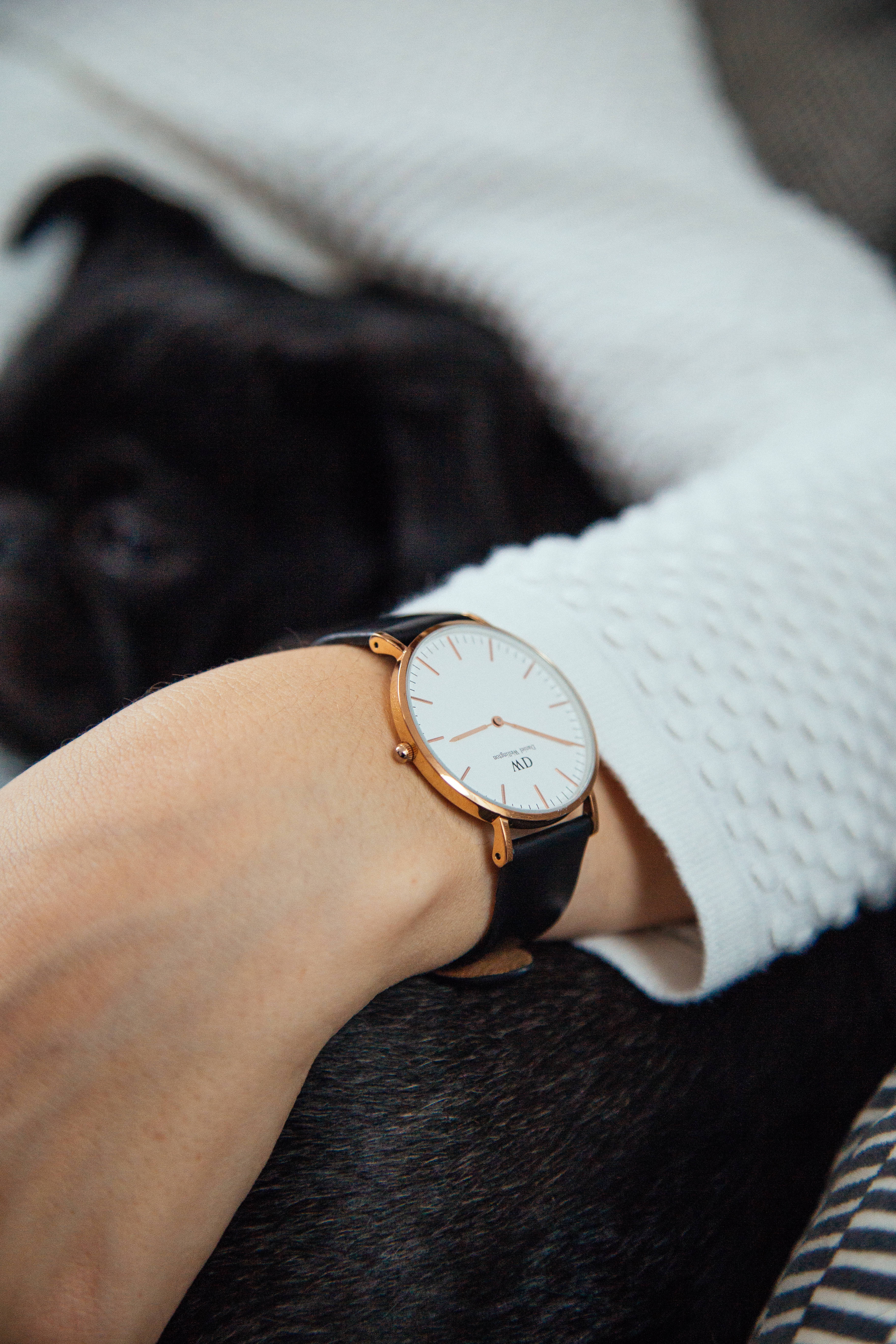 rose gold watch, black strap, black pug dog, 5K Phone Wallpaper