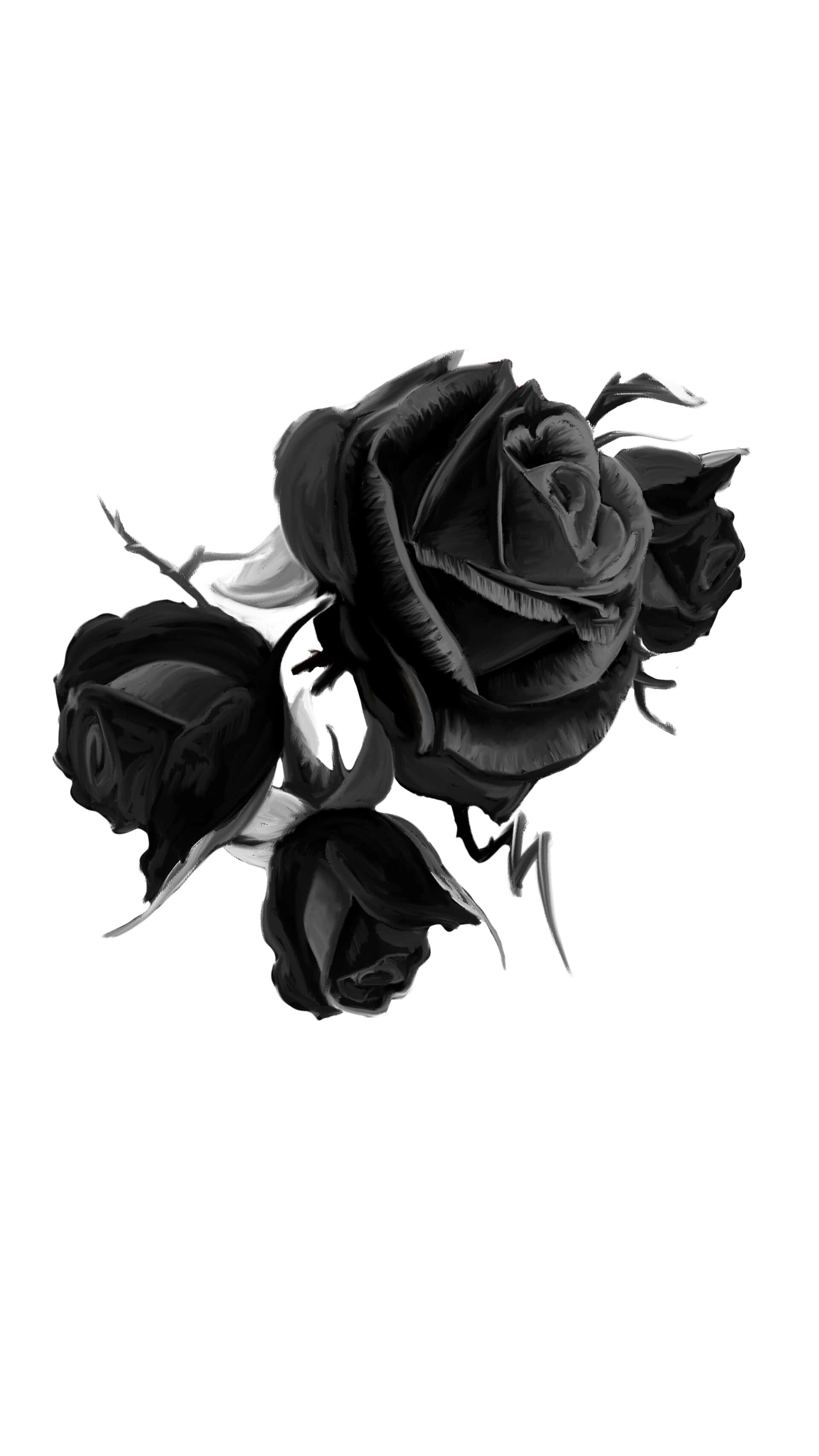 Aesthetic Black Rose, monochrome illustration, four black roses, 2K Phone Wallpaper