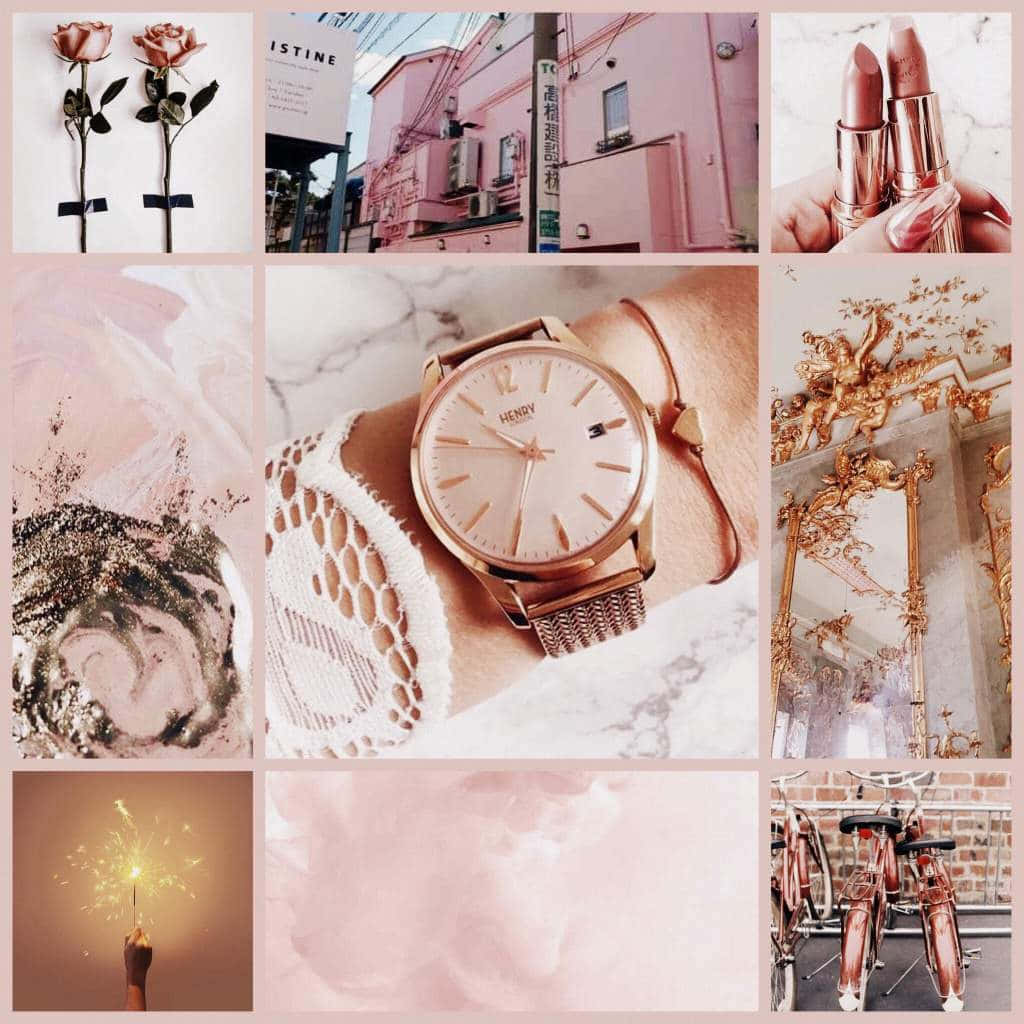 rose gold, soft pink, roses, SD Desktop Wallpaper