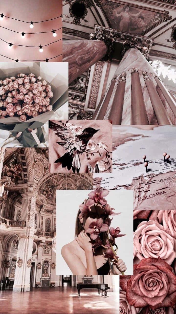 rose gold aesthetic collage, pink-toned collage, roses string lights, HD Phone Wallpaper