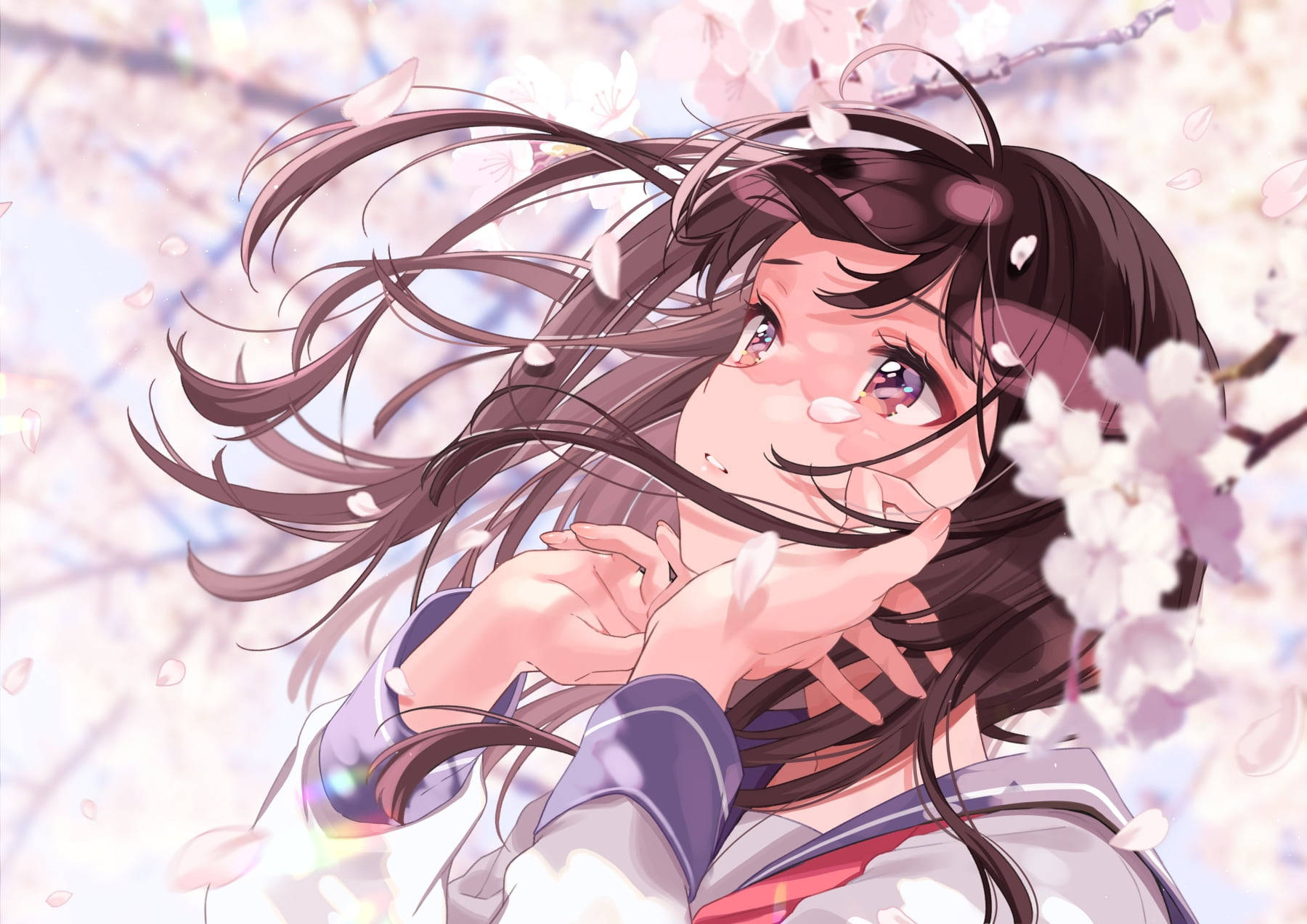 Aesthetic Sad Anime Girl, cherry blossoms, long dark hair, HD Desktop Wallpaper
