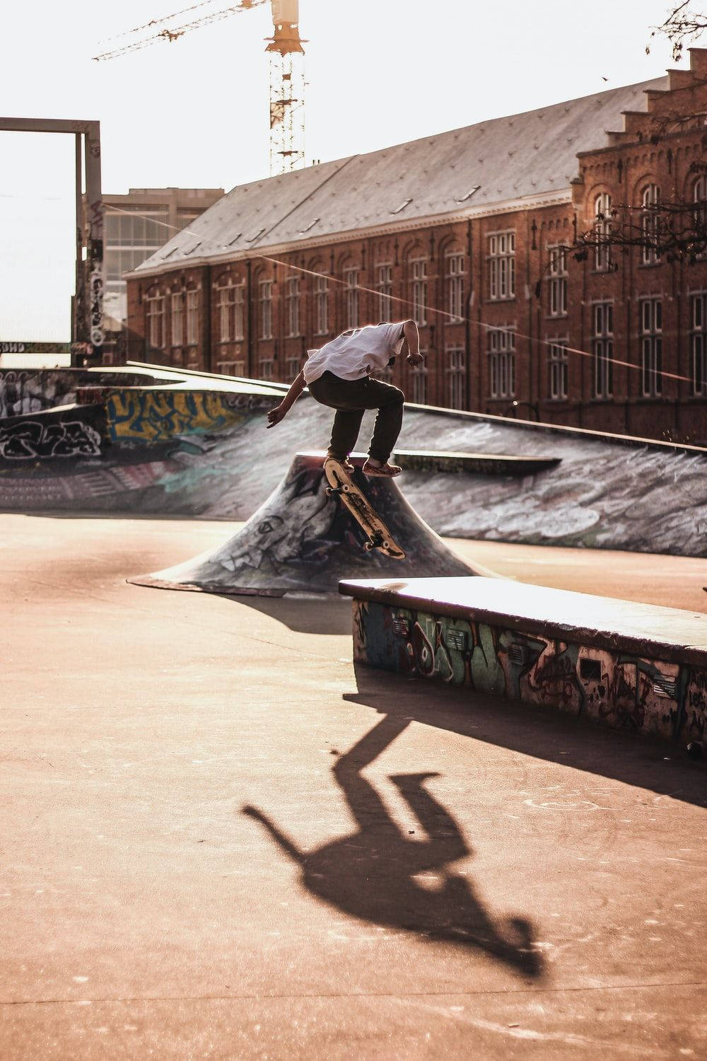 skateboarder, ramp, sunlit urban skatepark, HD Phone Wallpaper