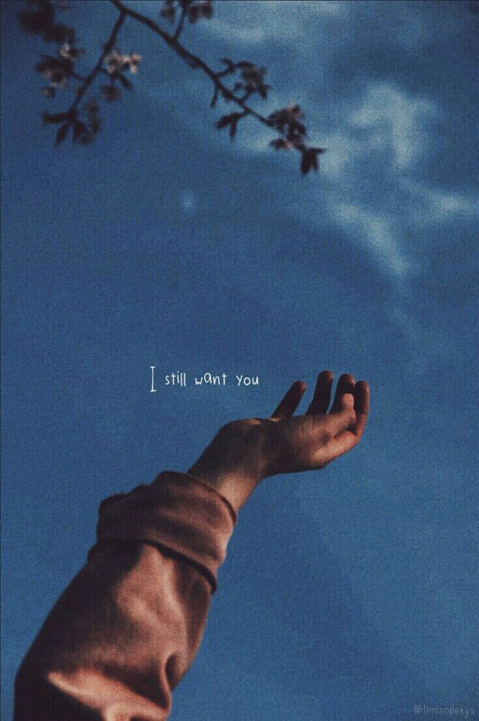 deep blue sky, blossoming tree branches, text reading I still want you, SD Phone Wallpaper