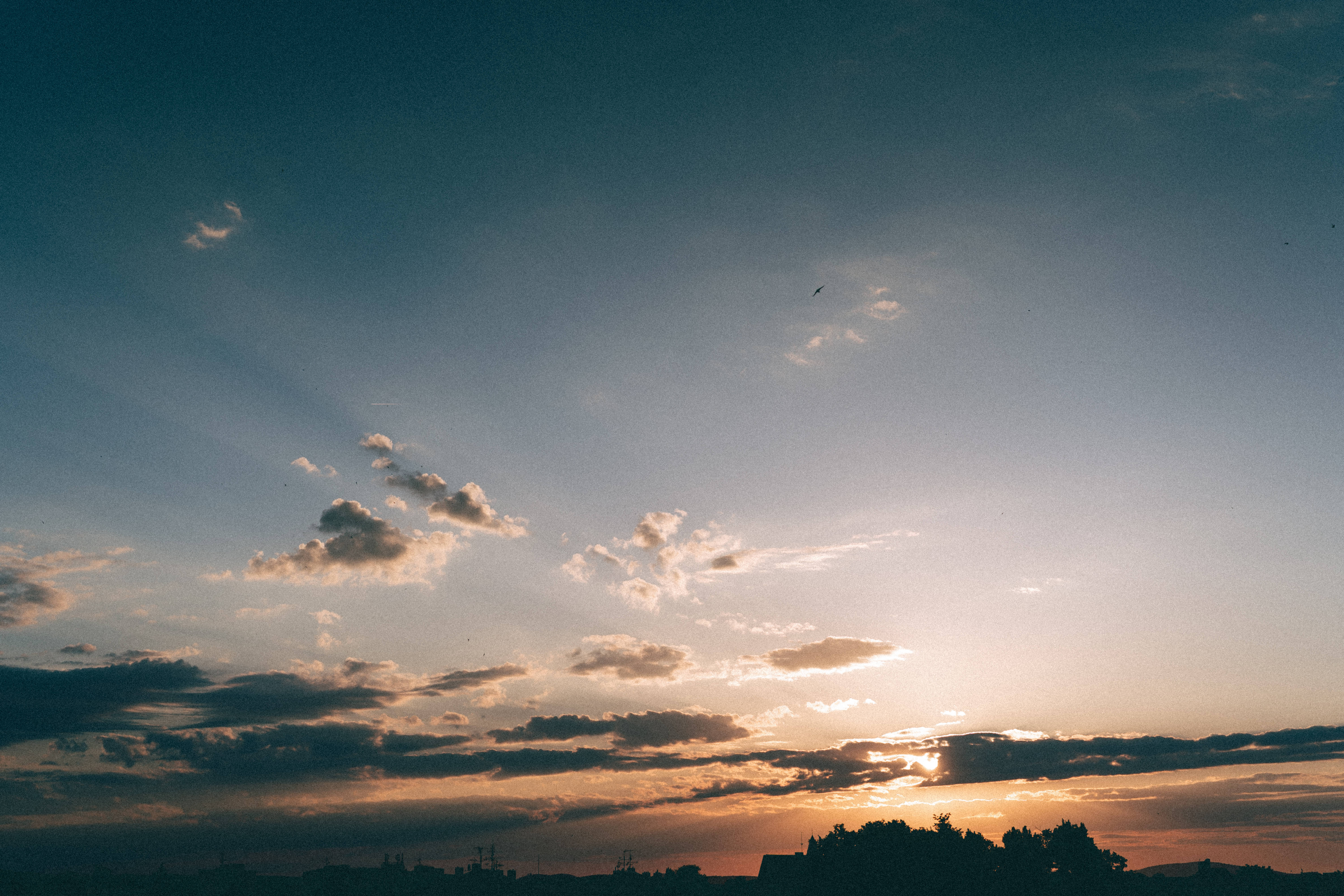 Sunset, golden light, silhouetted treeline, 5K Desktop Wallpaper