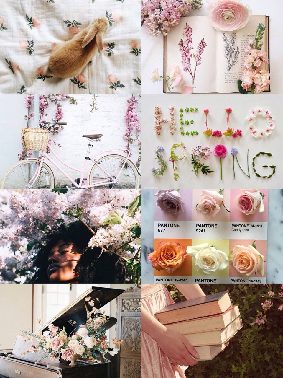 bunny, floral fabric, pink bike, HD Phone Wallpaper