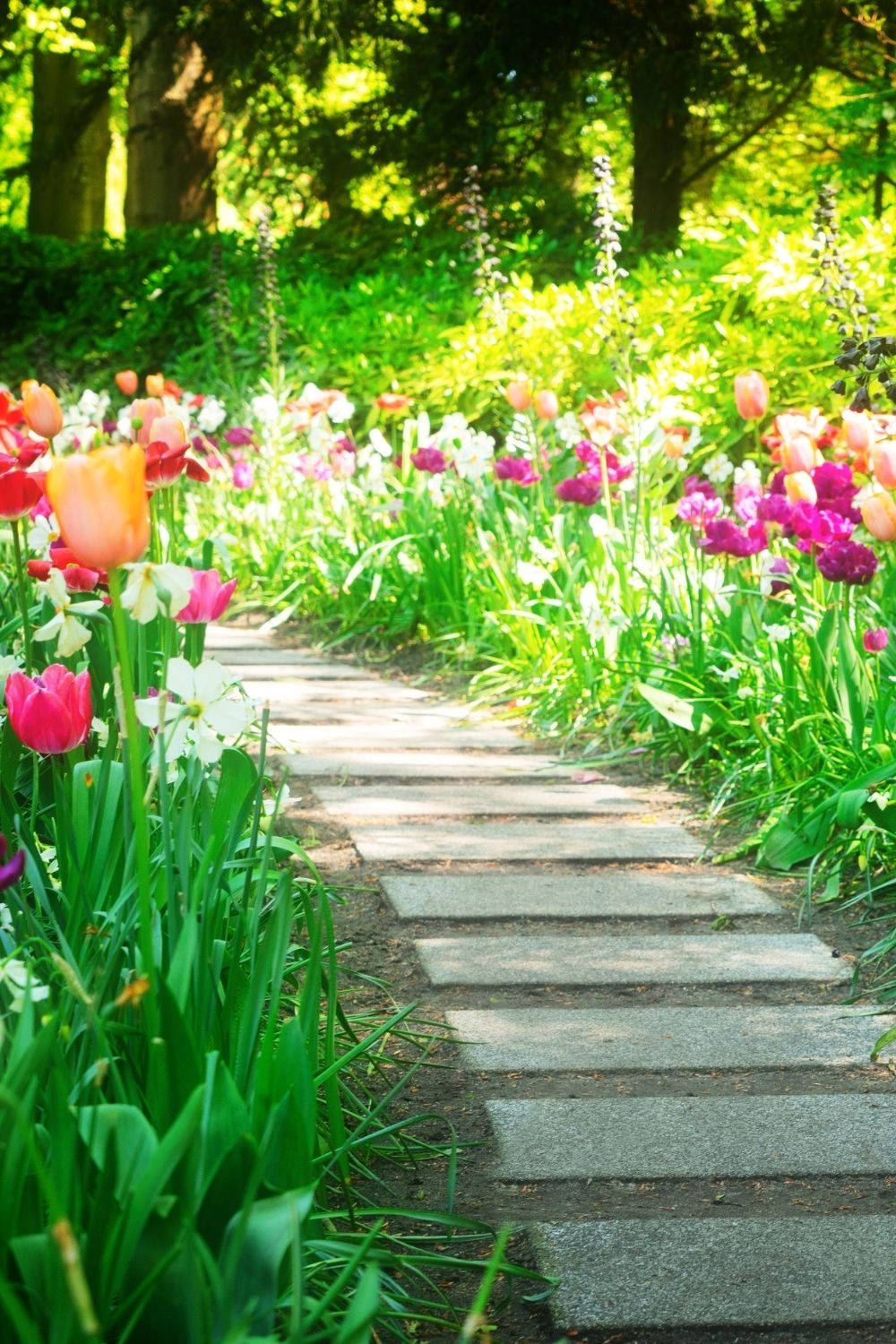 Aesthetic Spring, sunlit stone path, vibrant garden, HD Phone Wallpaper