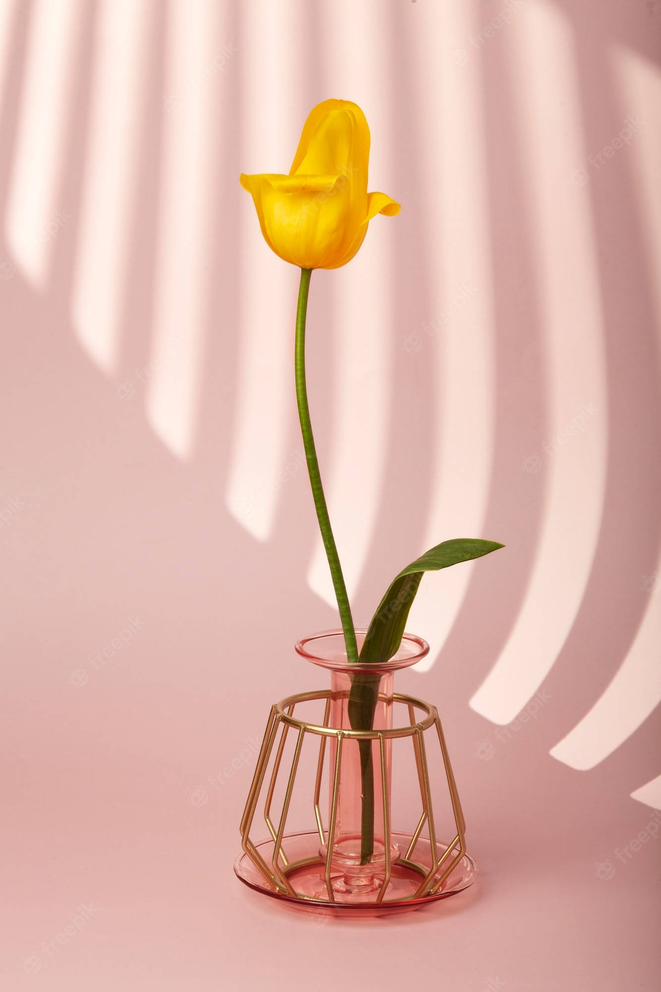 yellow tulip, geometric gold vase, pink background, Full HD Phone Wallpaper