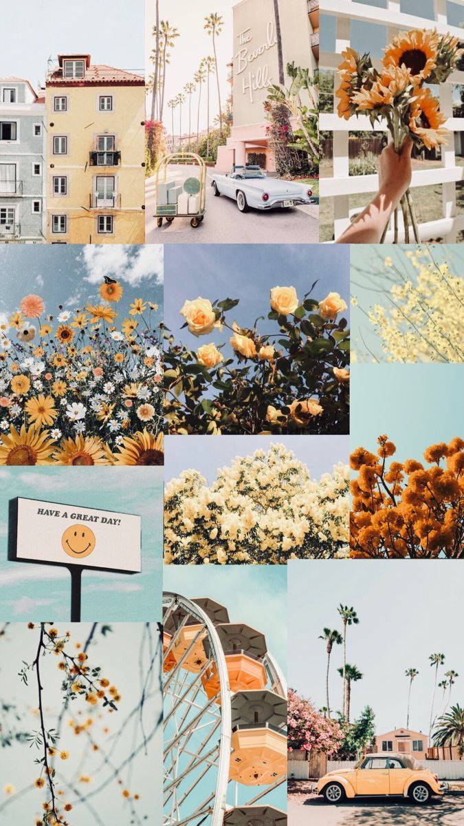Aesthetic Spring, iPhone Screen Theme, sunflowers, SD Phone Wallpaper