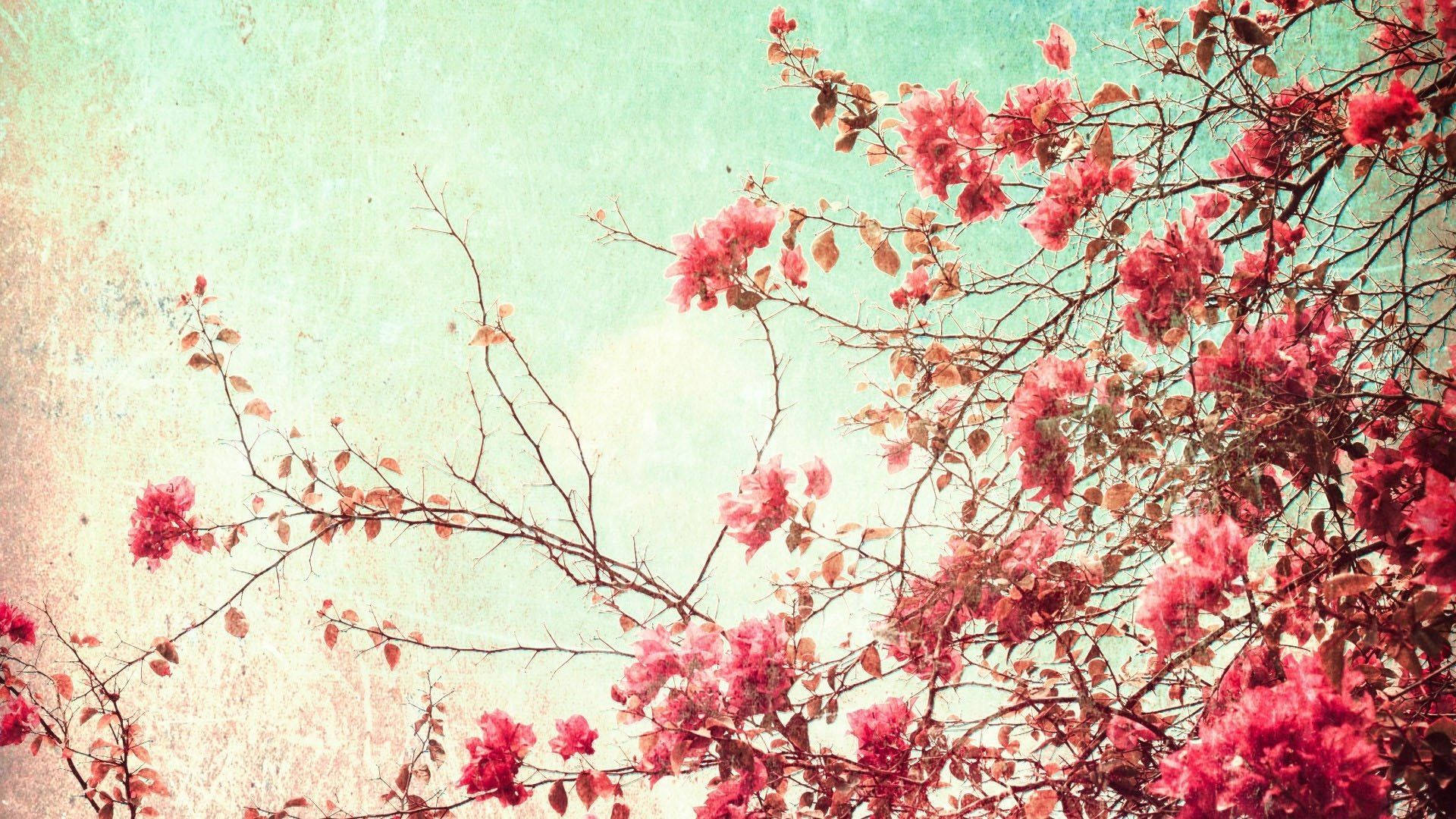 retro spring aesthetic, vibrant pink blossoms, delicate branches, Full HD Desktop Wallpaper