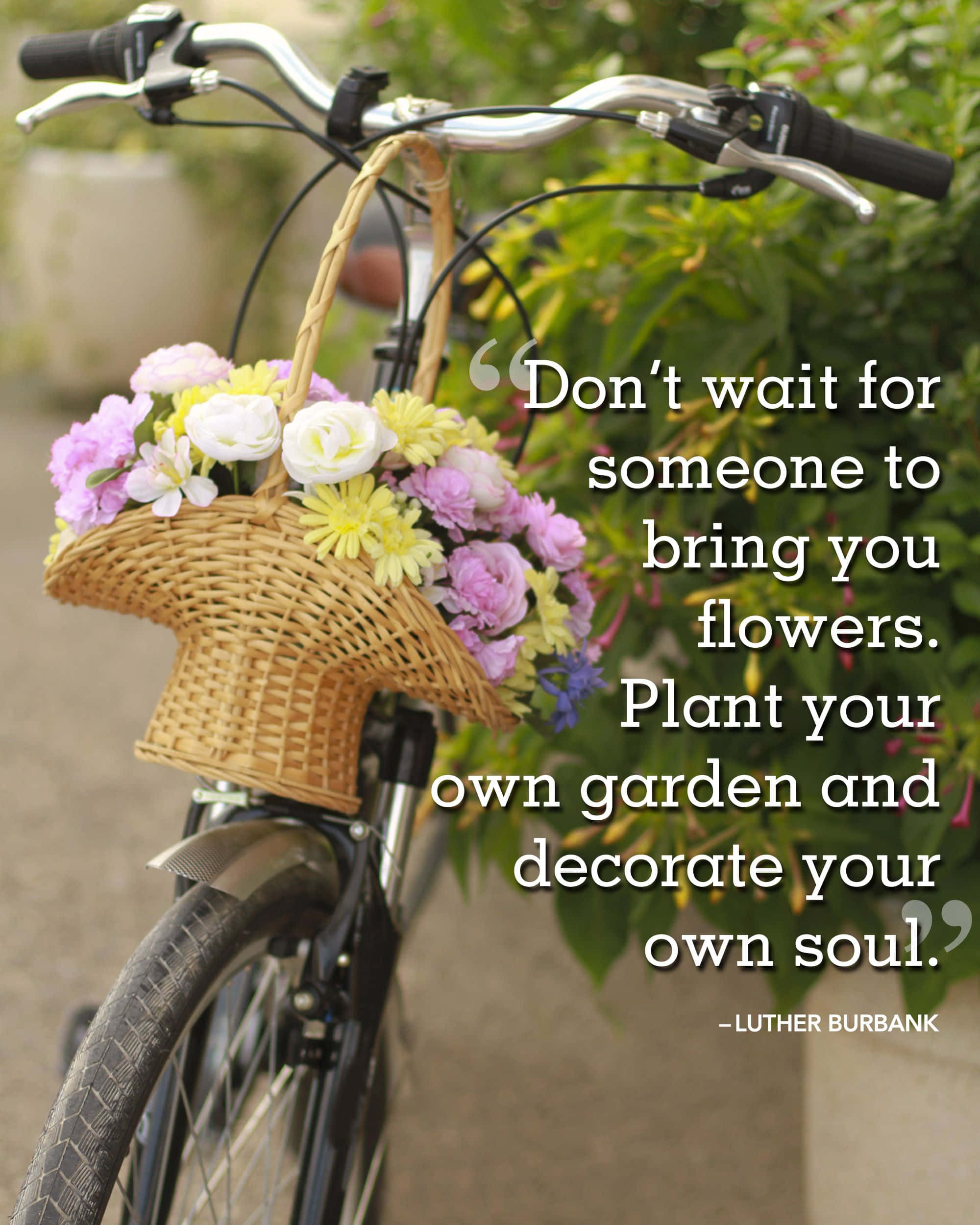 bicycle, wicker basket, colorful flowers, Full HD Phone Wallpaper