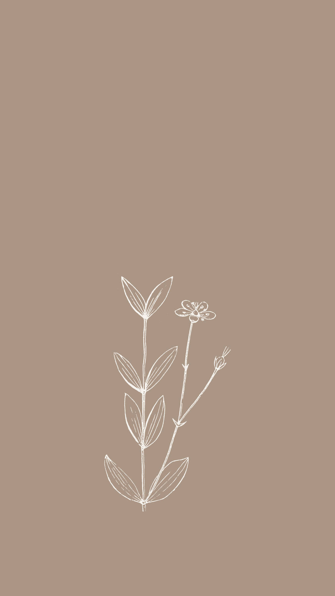 outline spring aesthetic, minimalist white line drawing, delicate plant, Full HD Phone Wallpaper