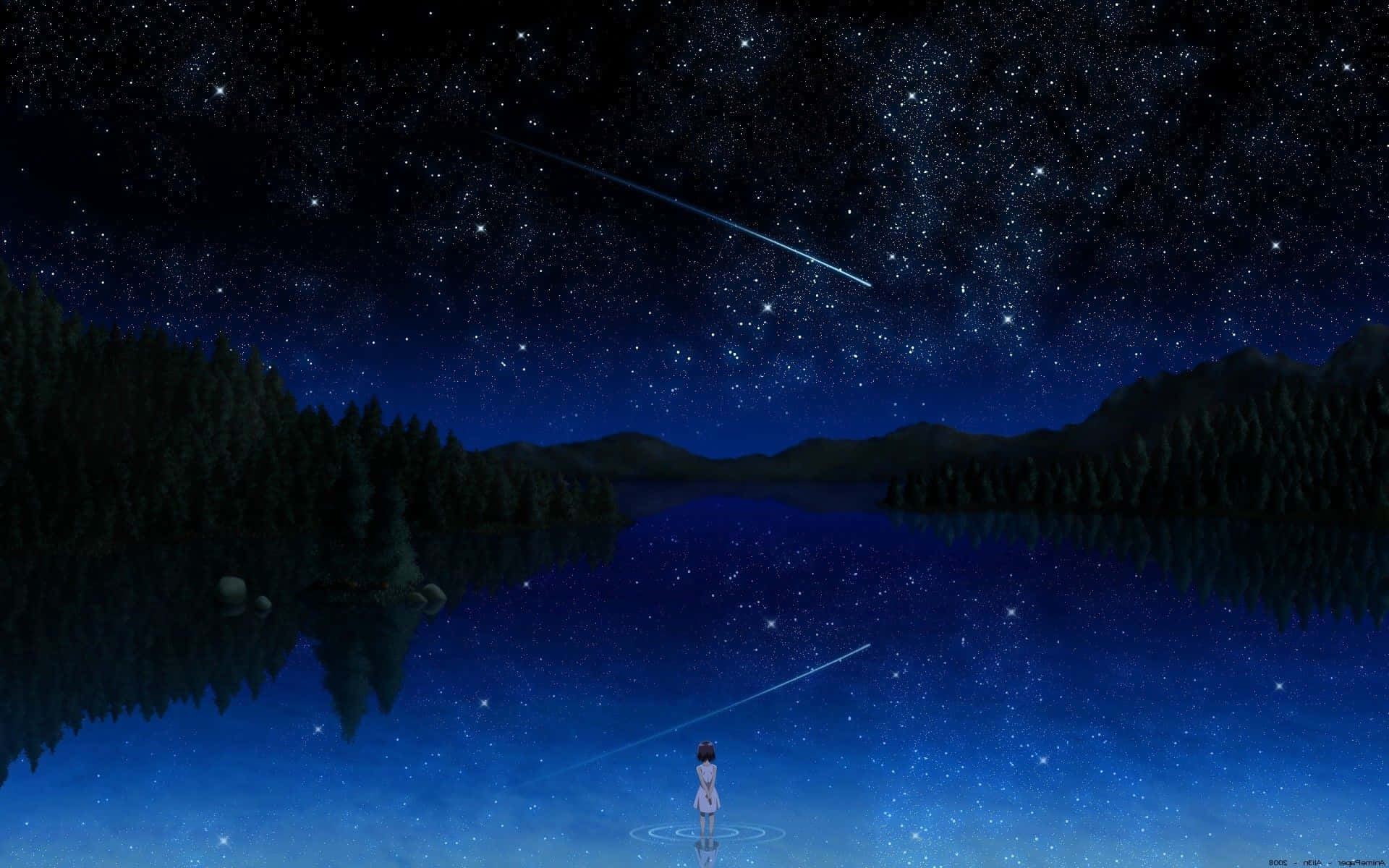 shooting star, starlit lake, night sky, Full HD Desktop Wallpaper