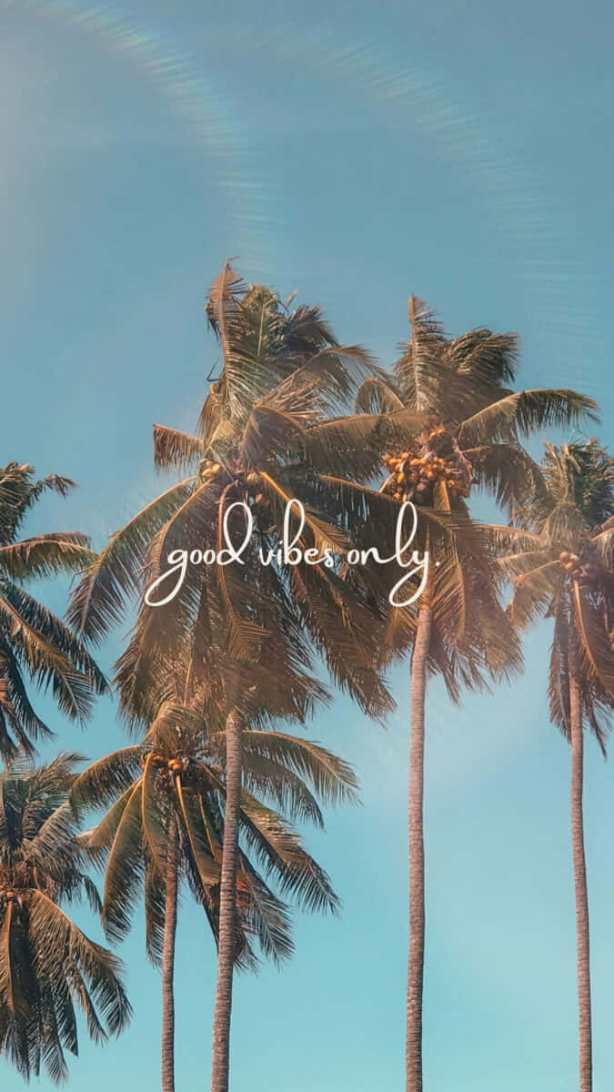 Good Vibes Only Summer Palms, palm trees, clear blue sky, SD Phone Wallpaper