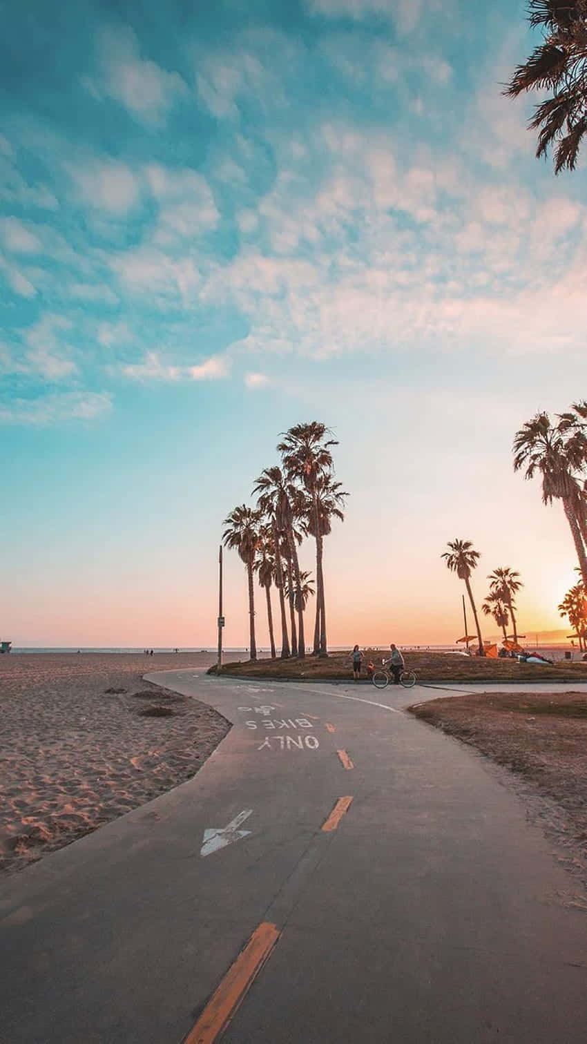 summer beach path, sunset, palm trees, HD Phone Wallpaper