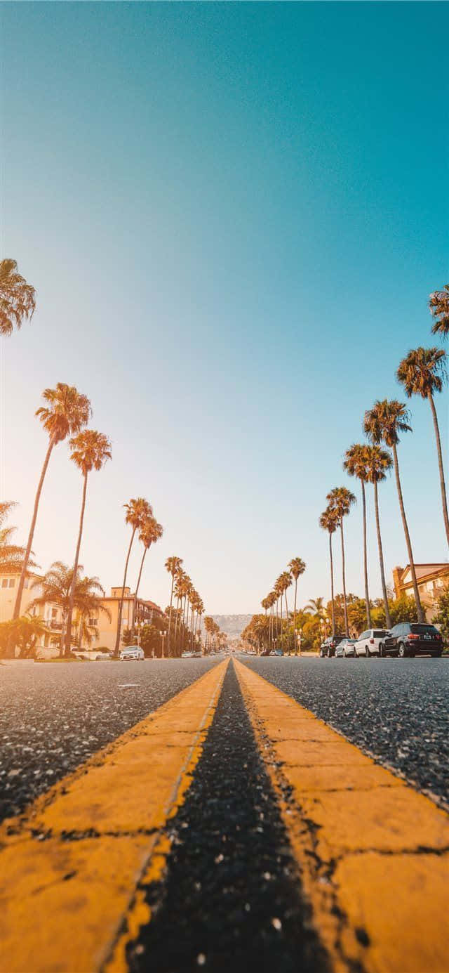palm-lined street, yellow double lines, distant hills, HD Phone Wallpaper