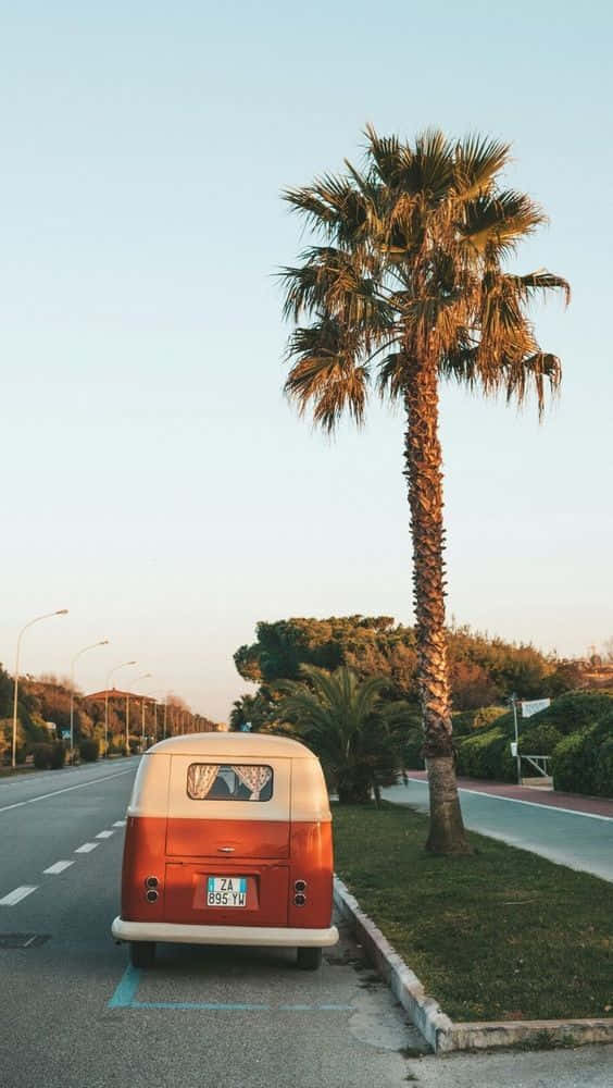 vintage orange and white van, tall palm tree, quiet roadside, SD Phone Wallpaper