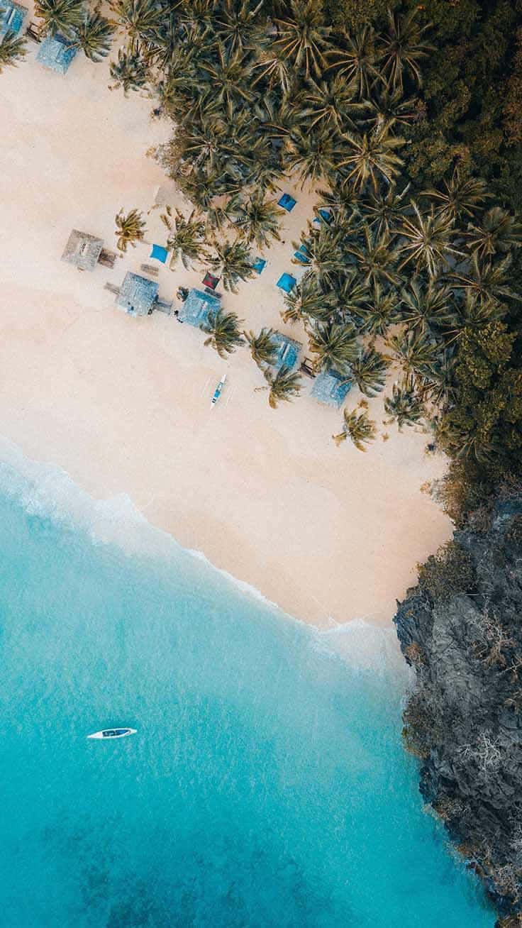 tropical beach, turquoise waters, palm trees, HD Phone Wallpaper